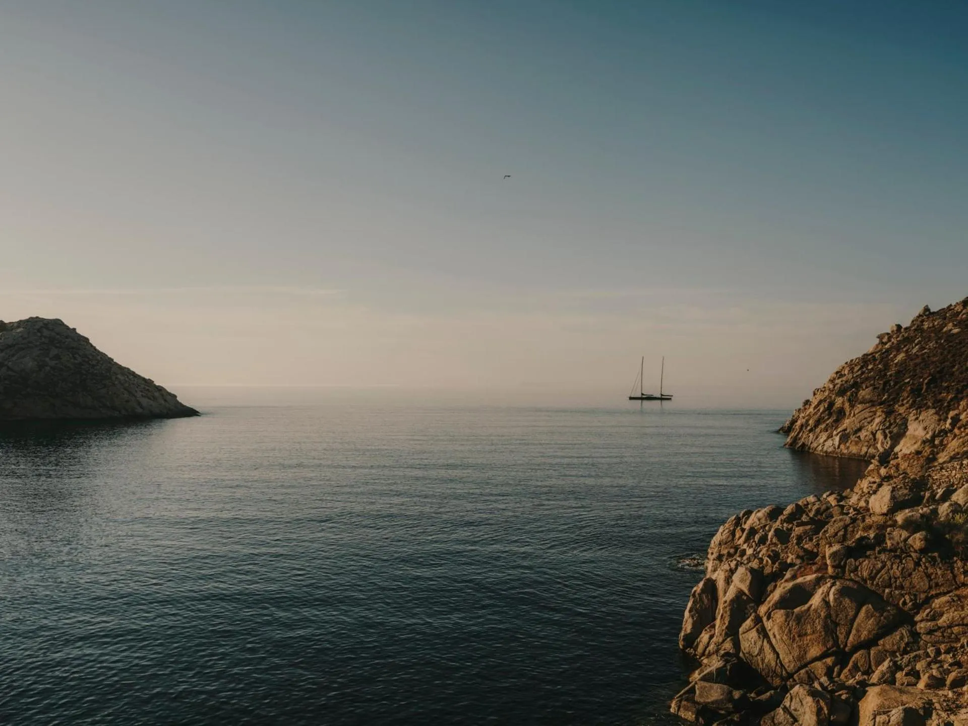 Day in The Wild by Interni