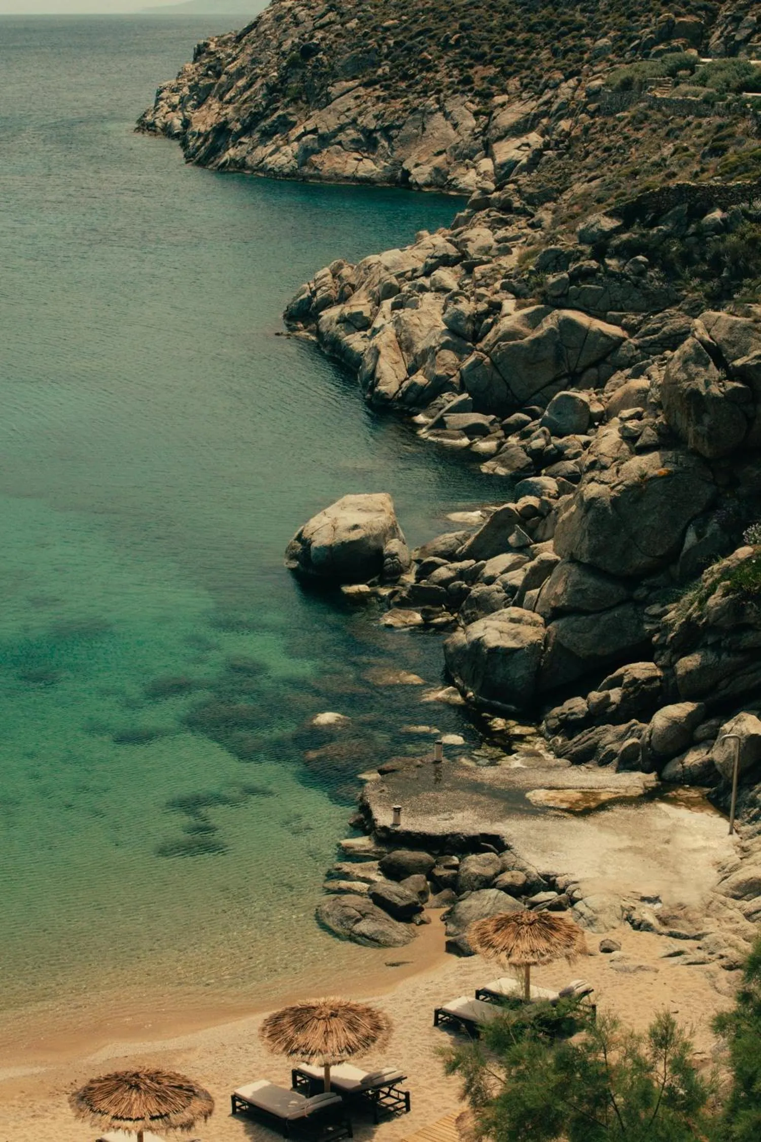 Day in The Wild by Interni