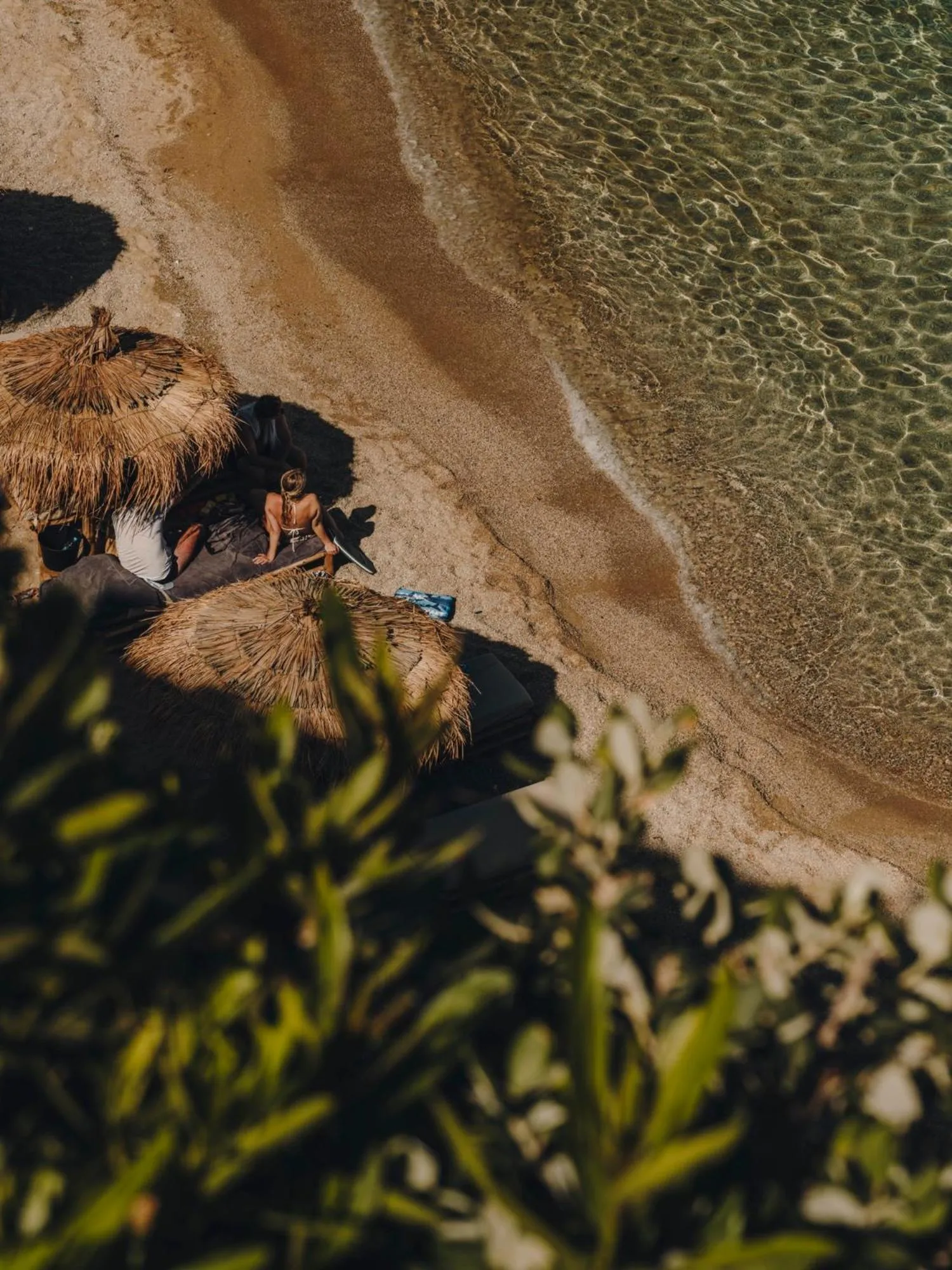 Beach in The Wild by Interni