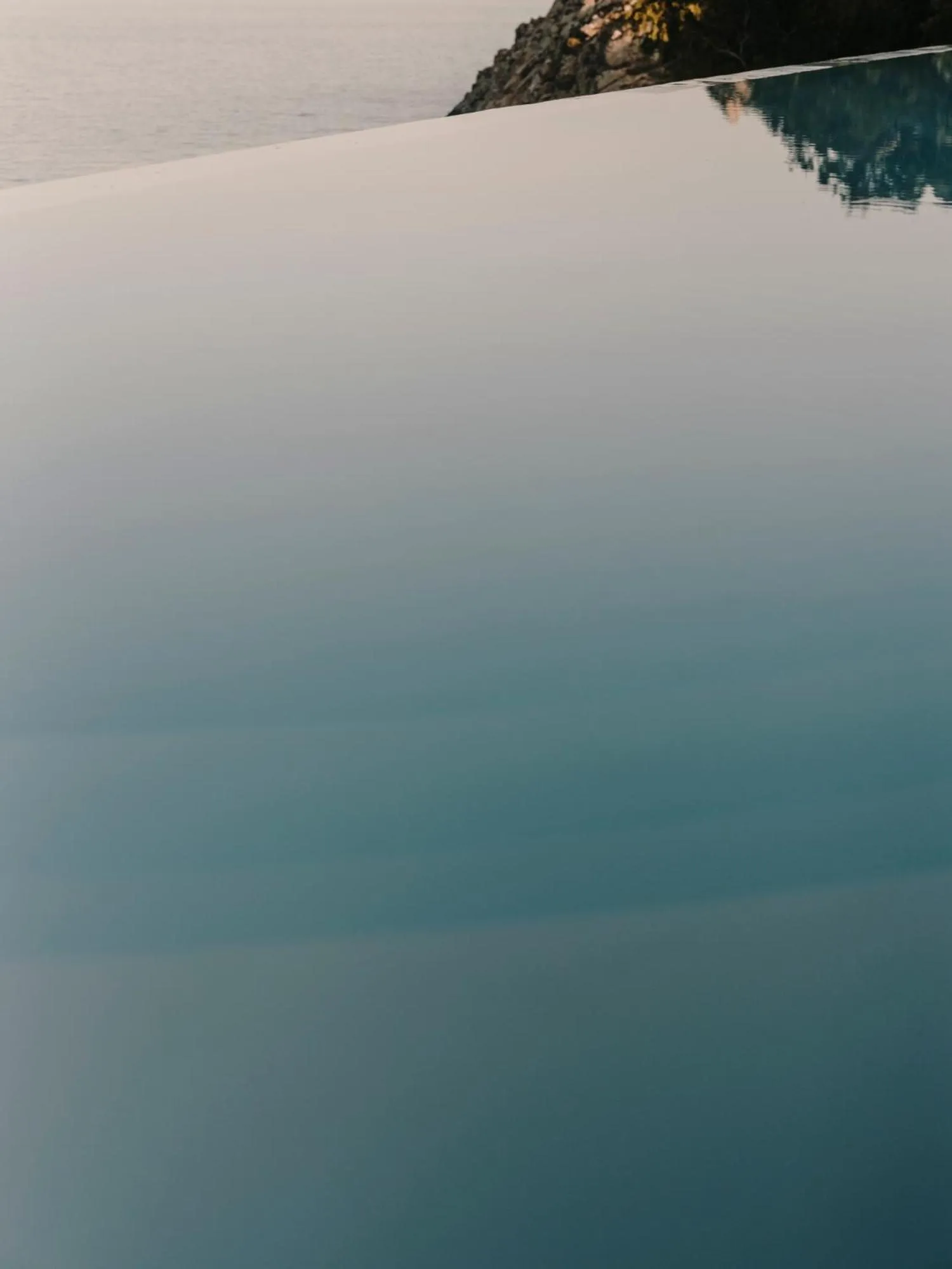 Day in The Wild by Interni