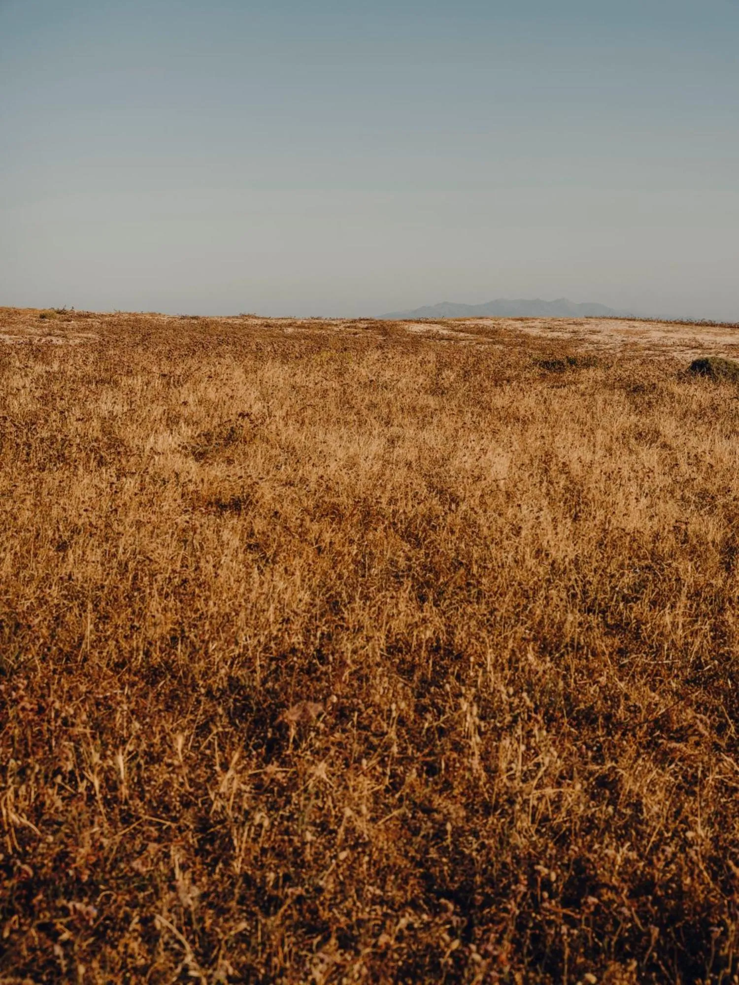 Natural landscape in The Wild by Interni