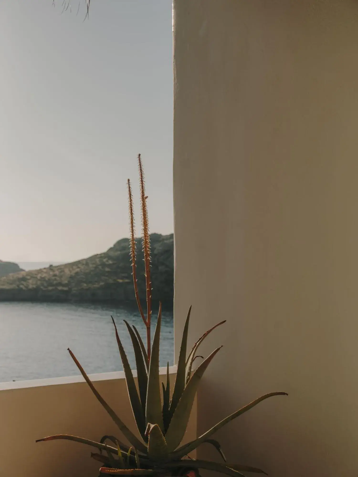 Sea view in The Wild by Interni Sea view in The Wild by Interni