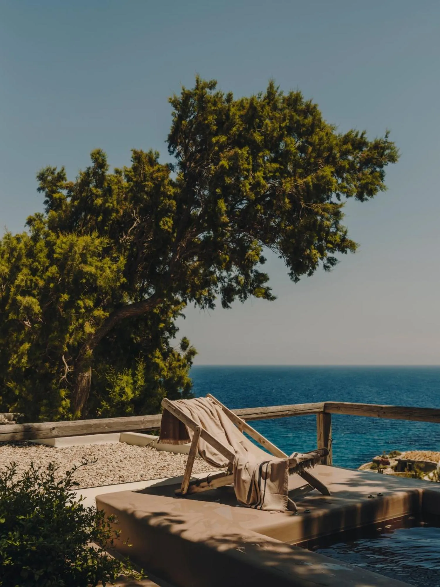 Day in The Wild by Interni