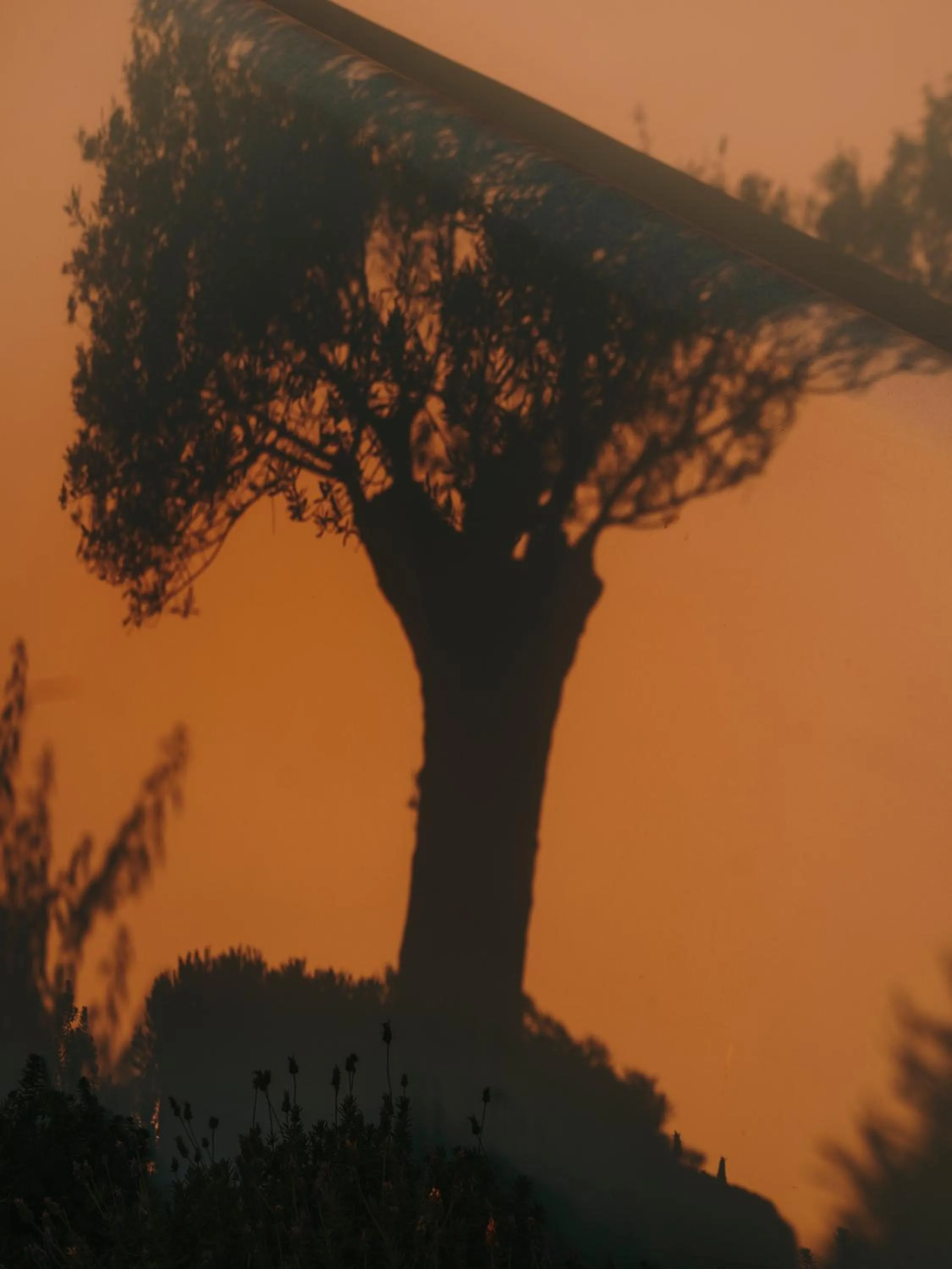 Sunrise in The Wild by Interni