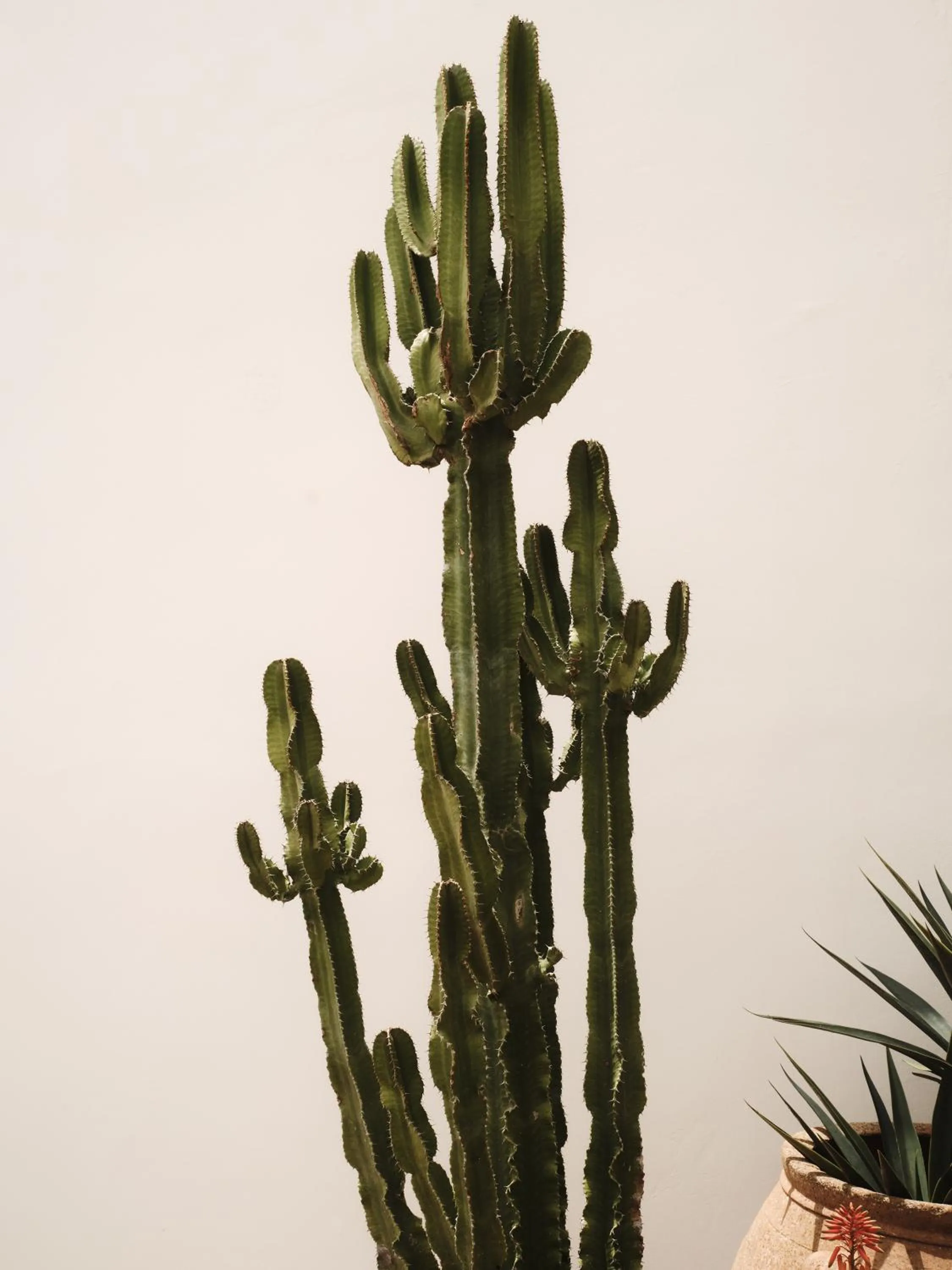 Day in The Wild by Interni