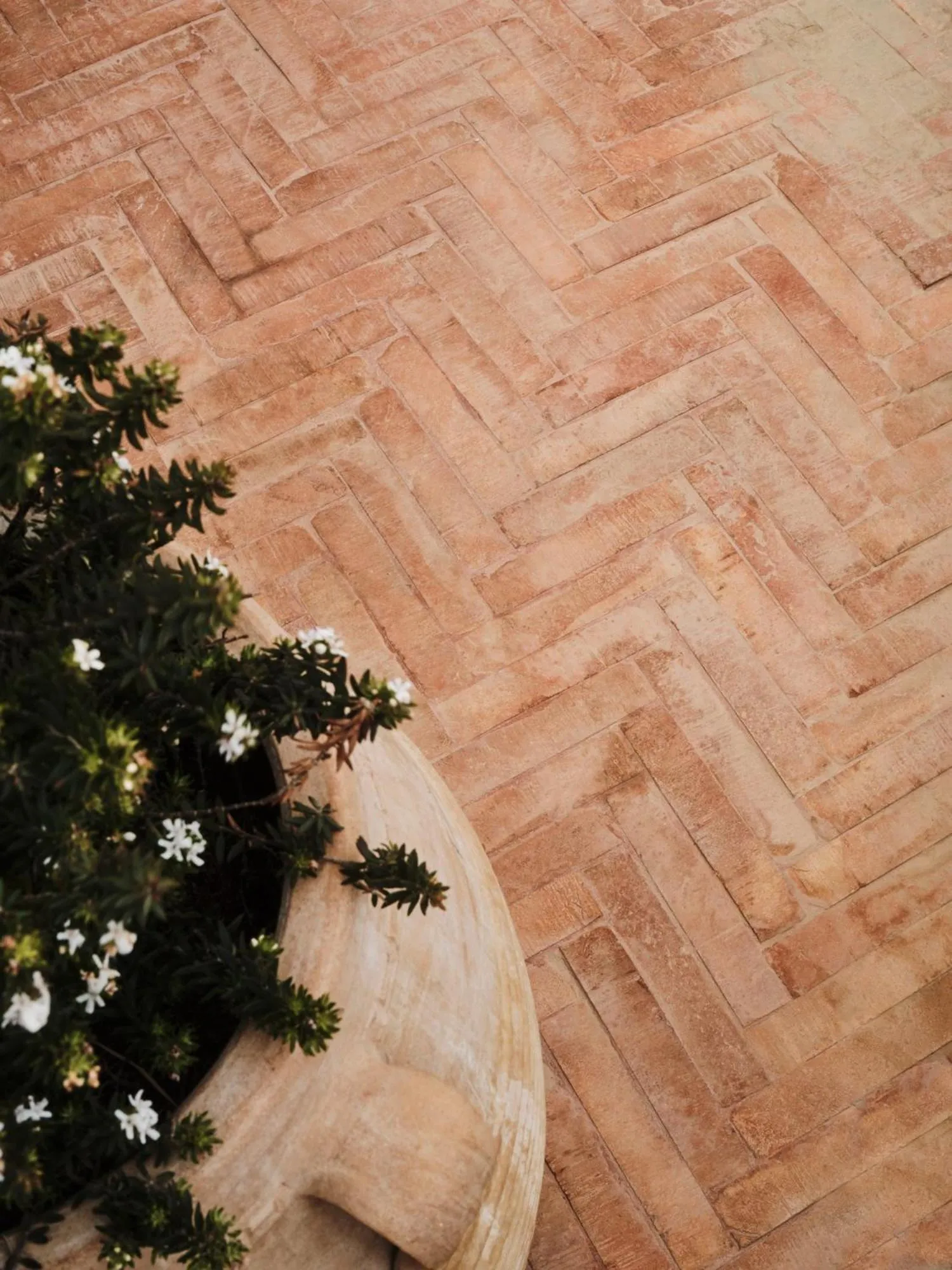 Balcony/Terrace in The Wild by Interni