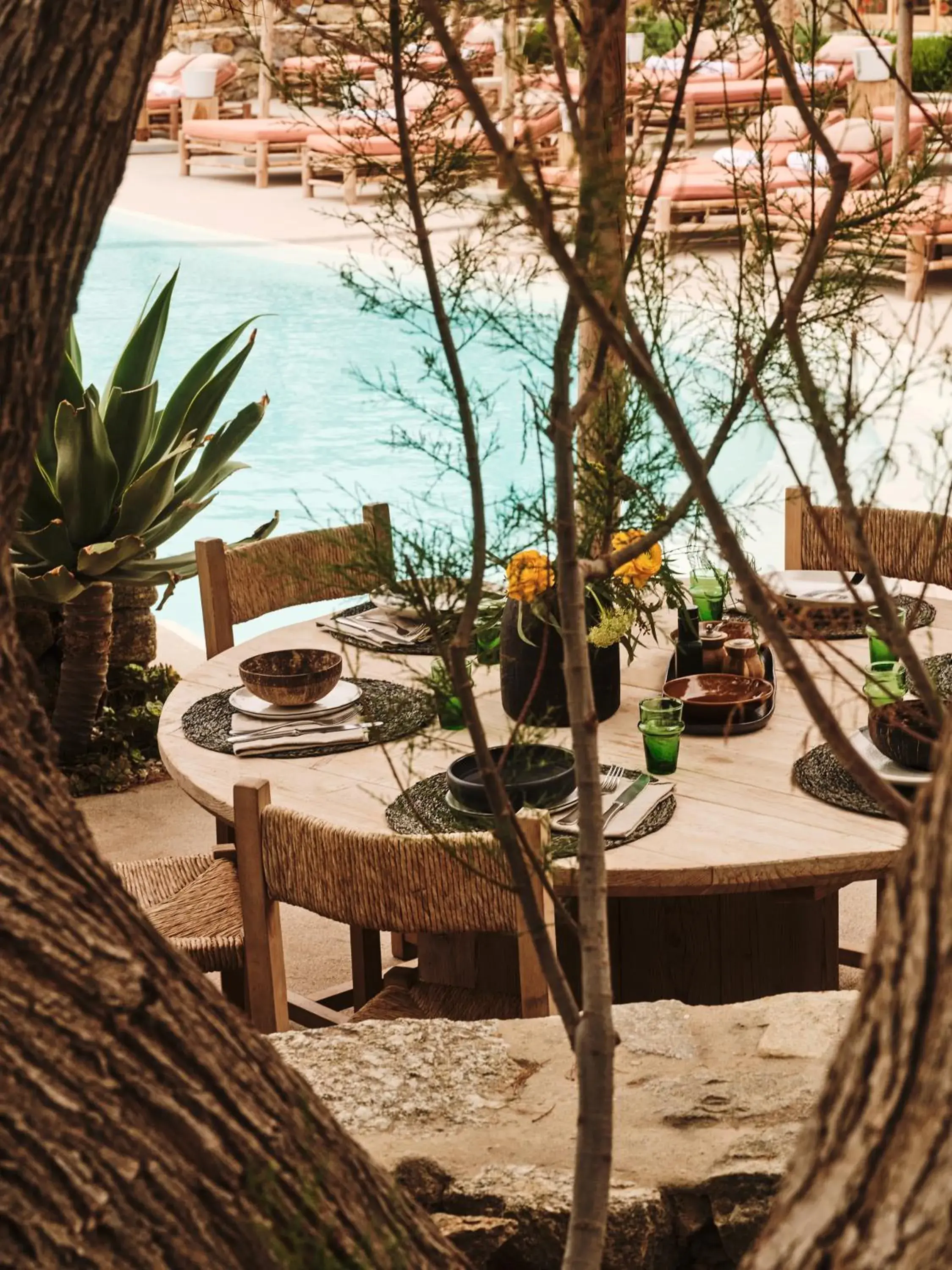 Restaurant/places to eat in The Wild by Interni Restaurant/places to eat in The Wild by Interni