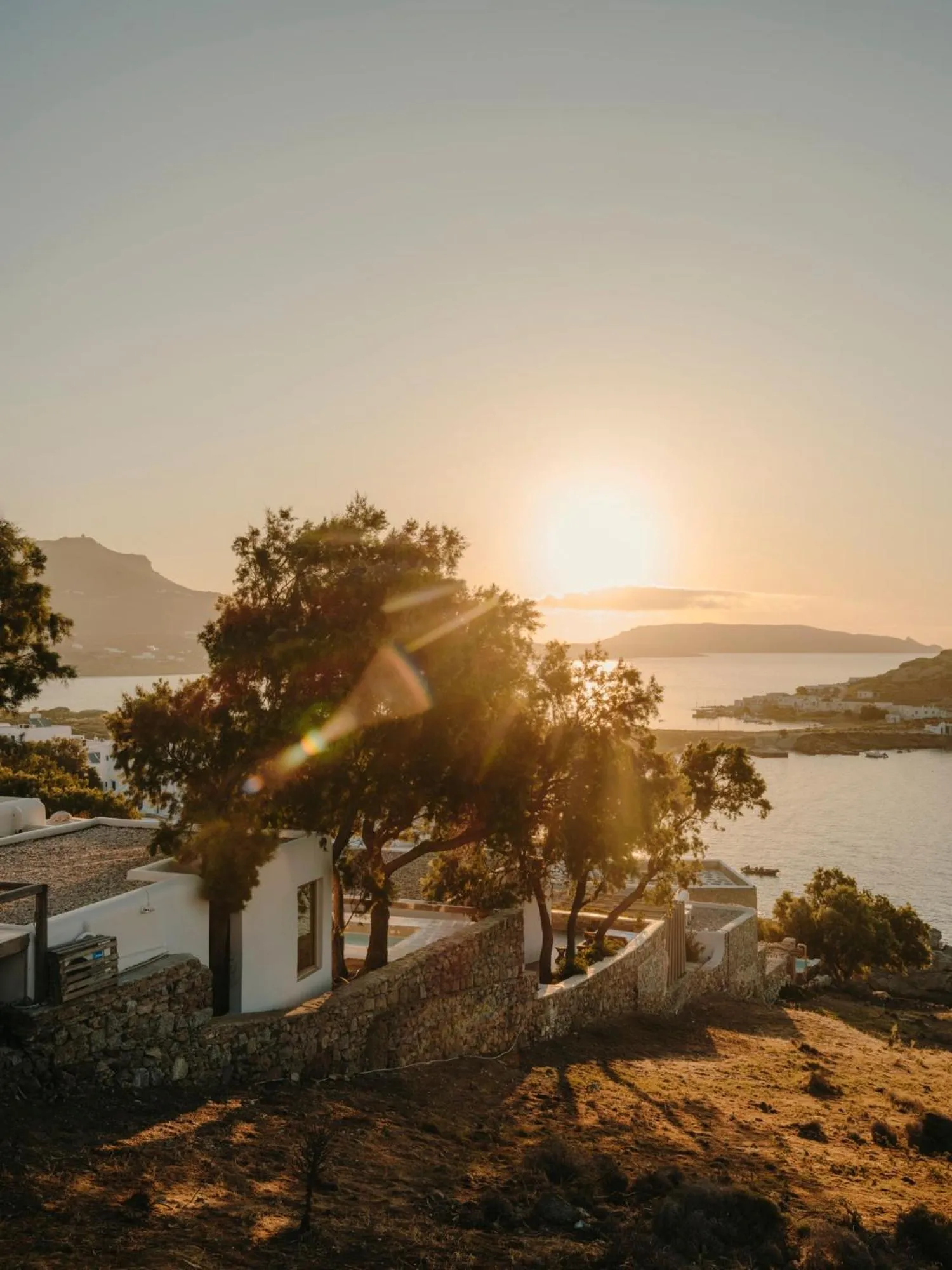 Day in The Wild by Interni