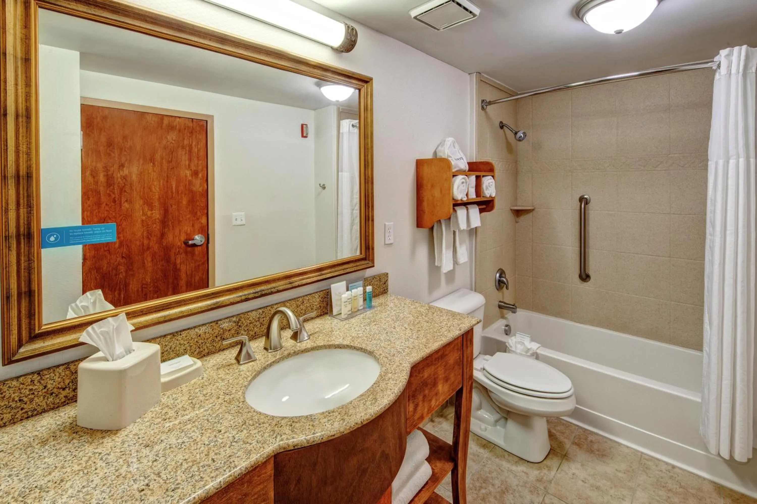 Bathroom in Hampton Inn Winchester KY