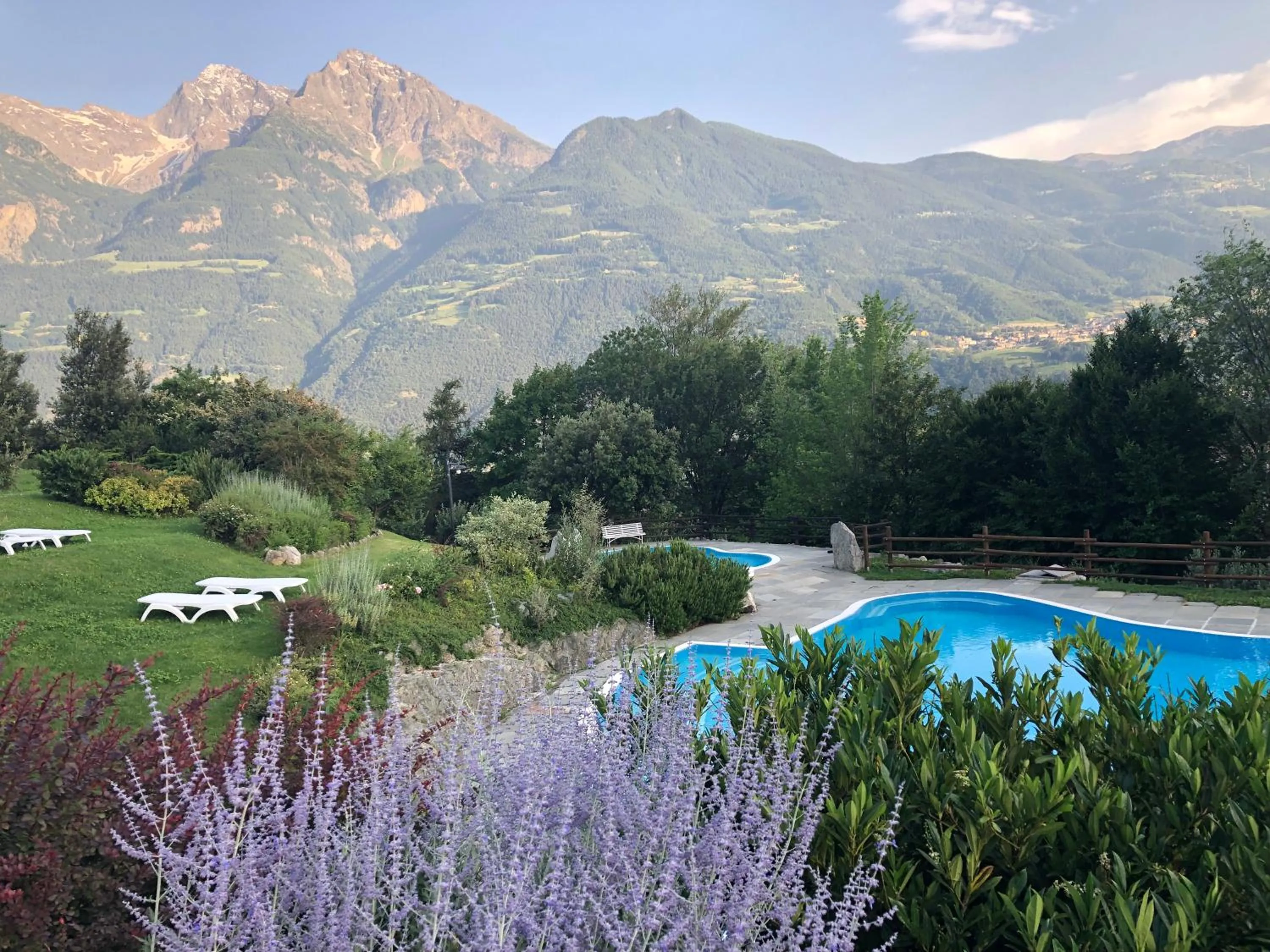 Garden in Hotel Milleluci