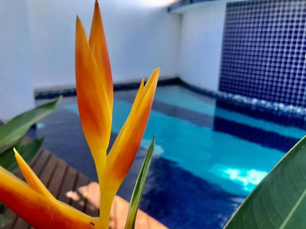 Recanto das Andorinhas Studios