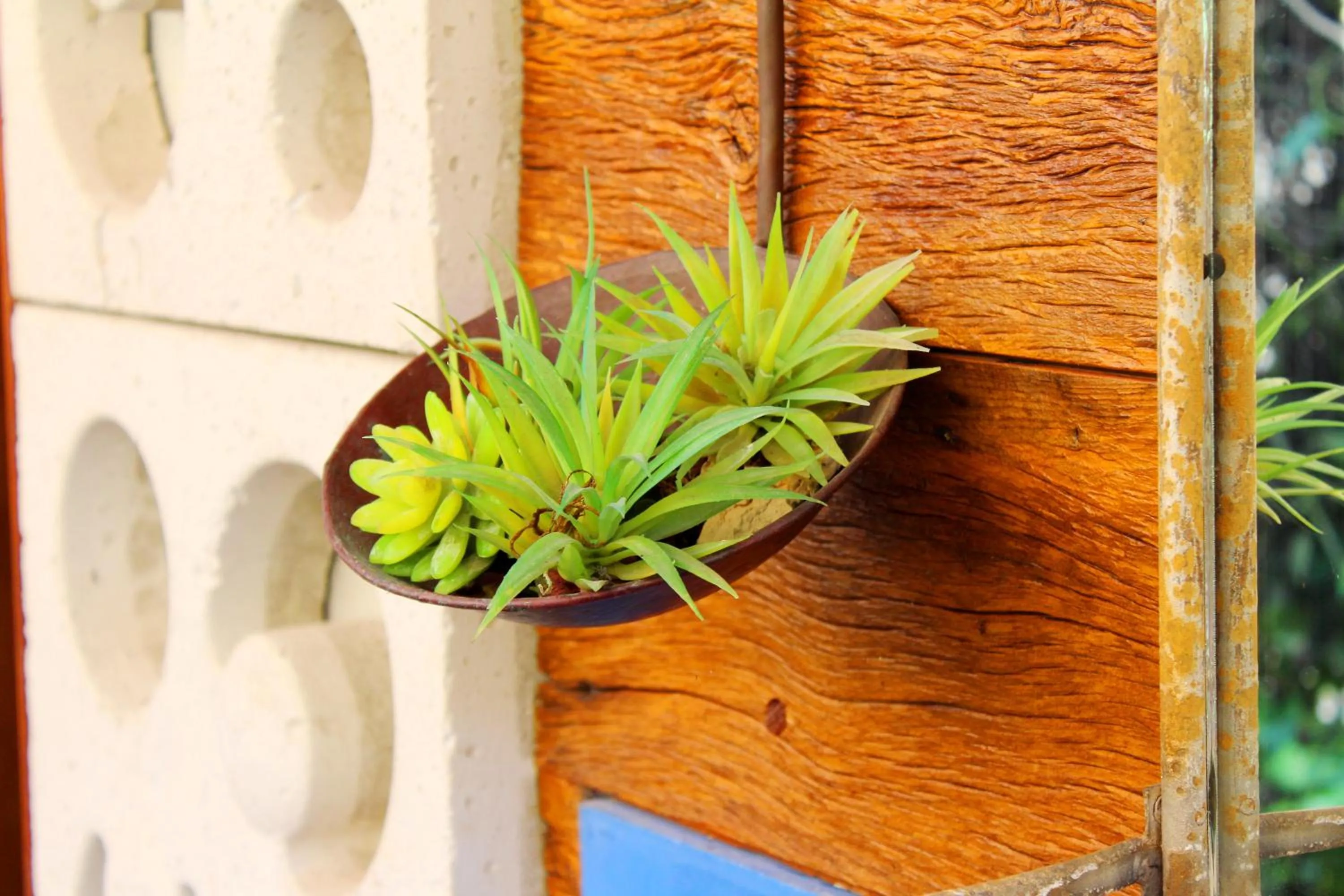 Swimming pool in Recanto das Andorinhas Studios