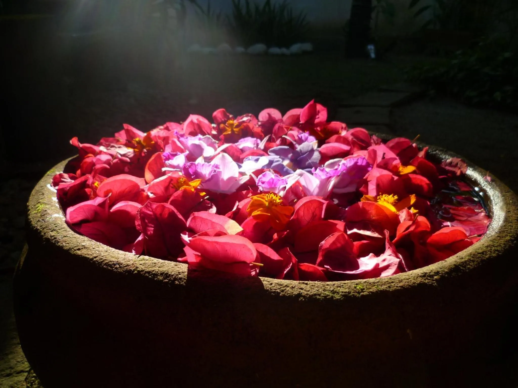 Other in Recanto das Andorinhas Studios