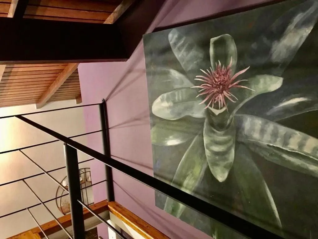 Recanto das Andorinhas Studios