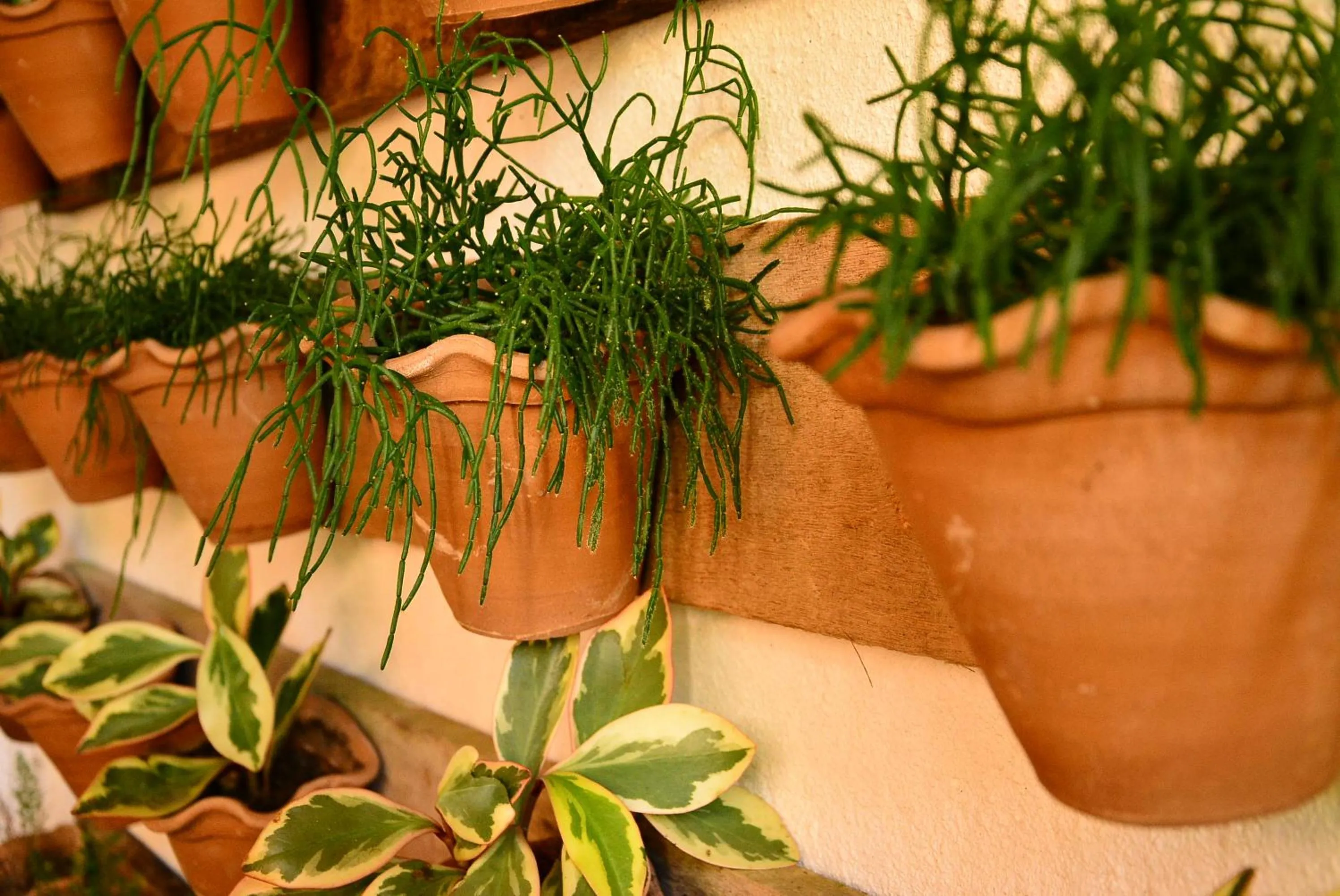 Other in Recanto das Andorinhas Studios