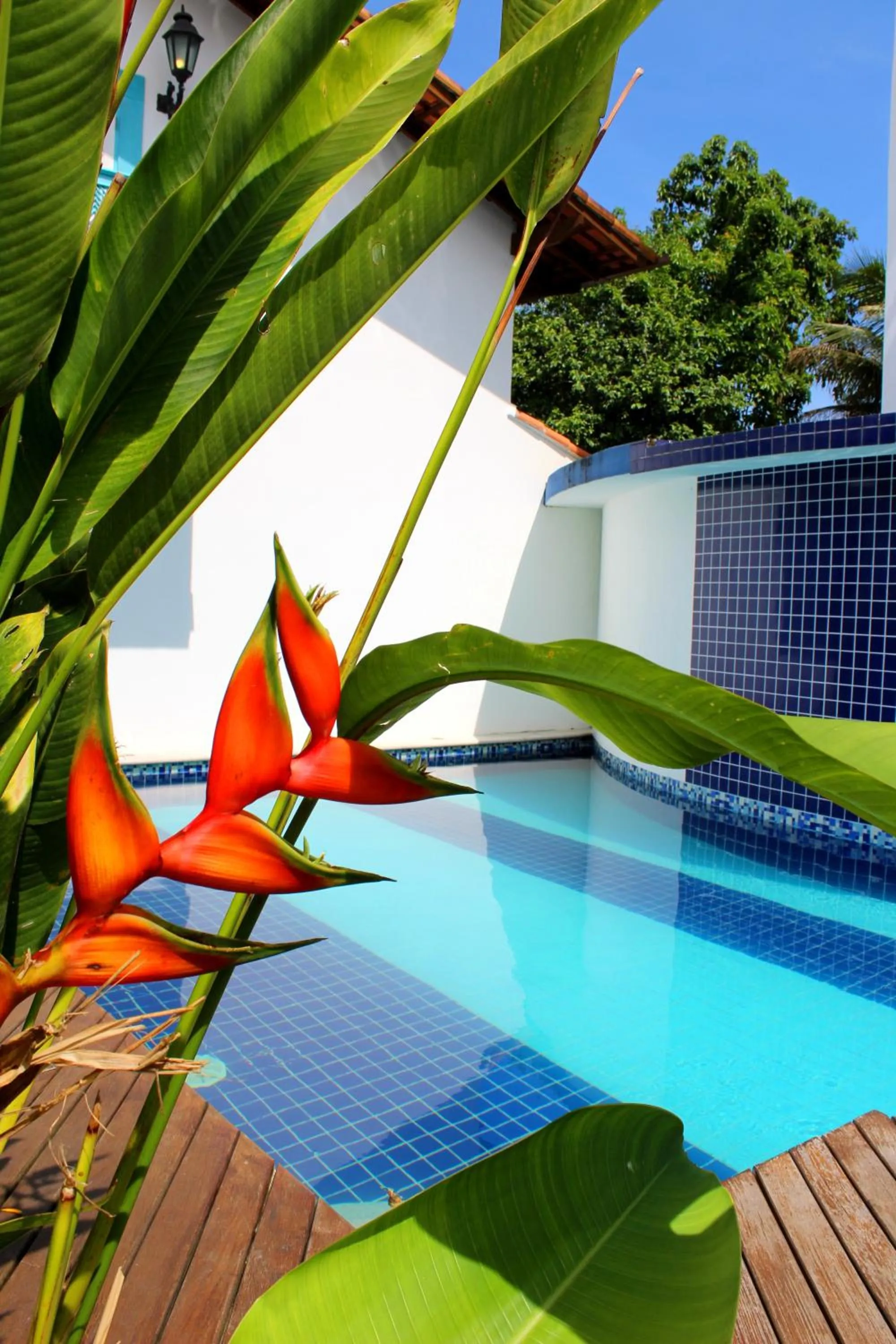 Swimming pool in Recanto das Andorinhas Studios