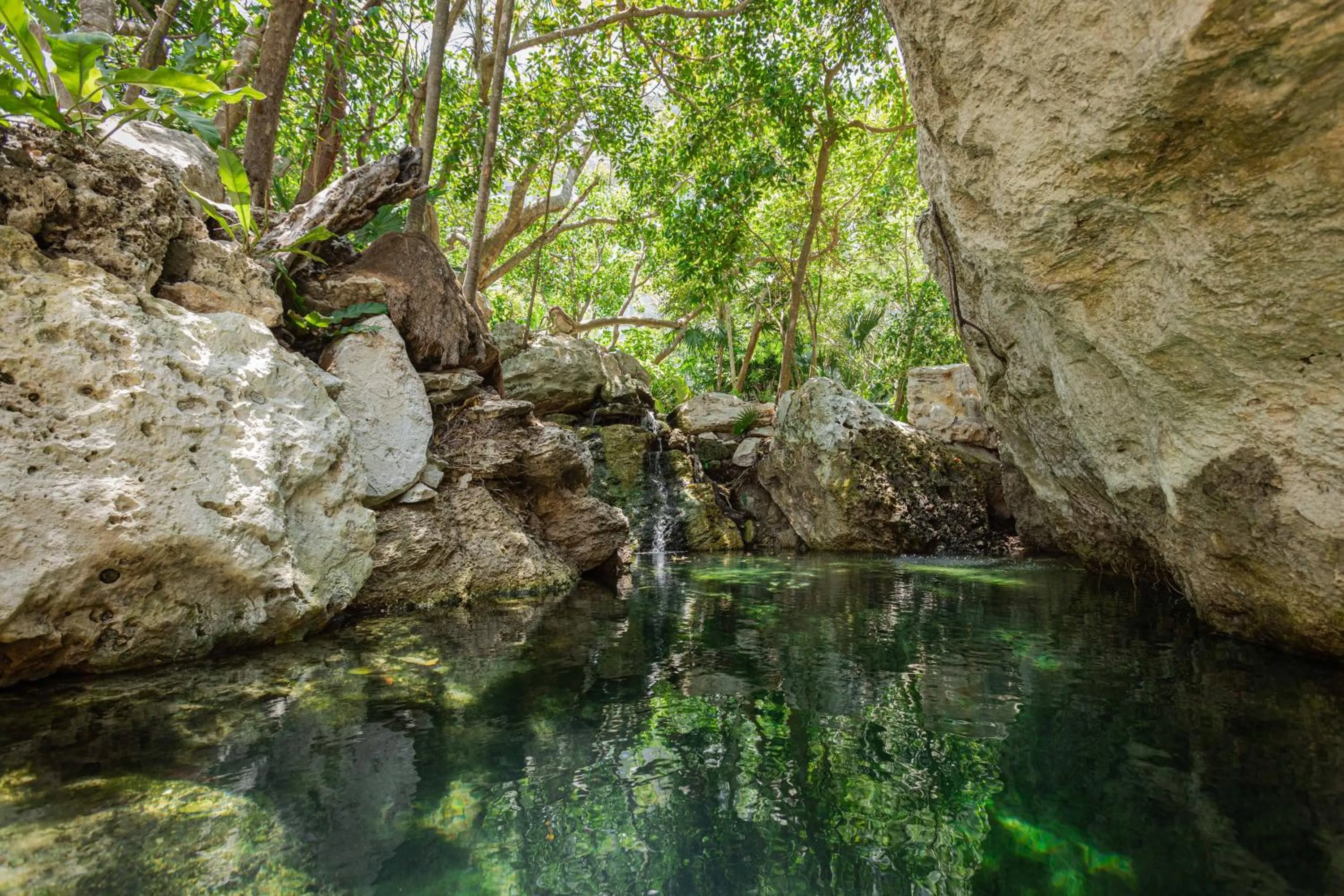 Natural landscape in Palmaïa The House of AïA All Inclusive Wellness Resort