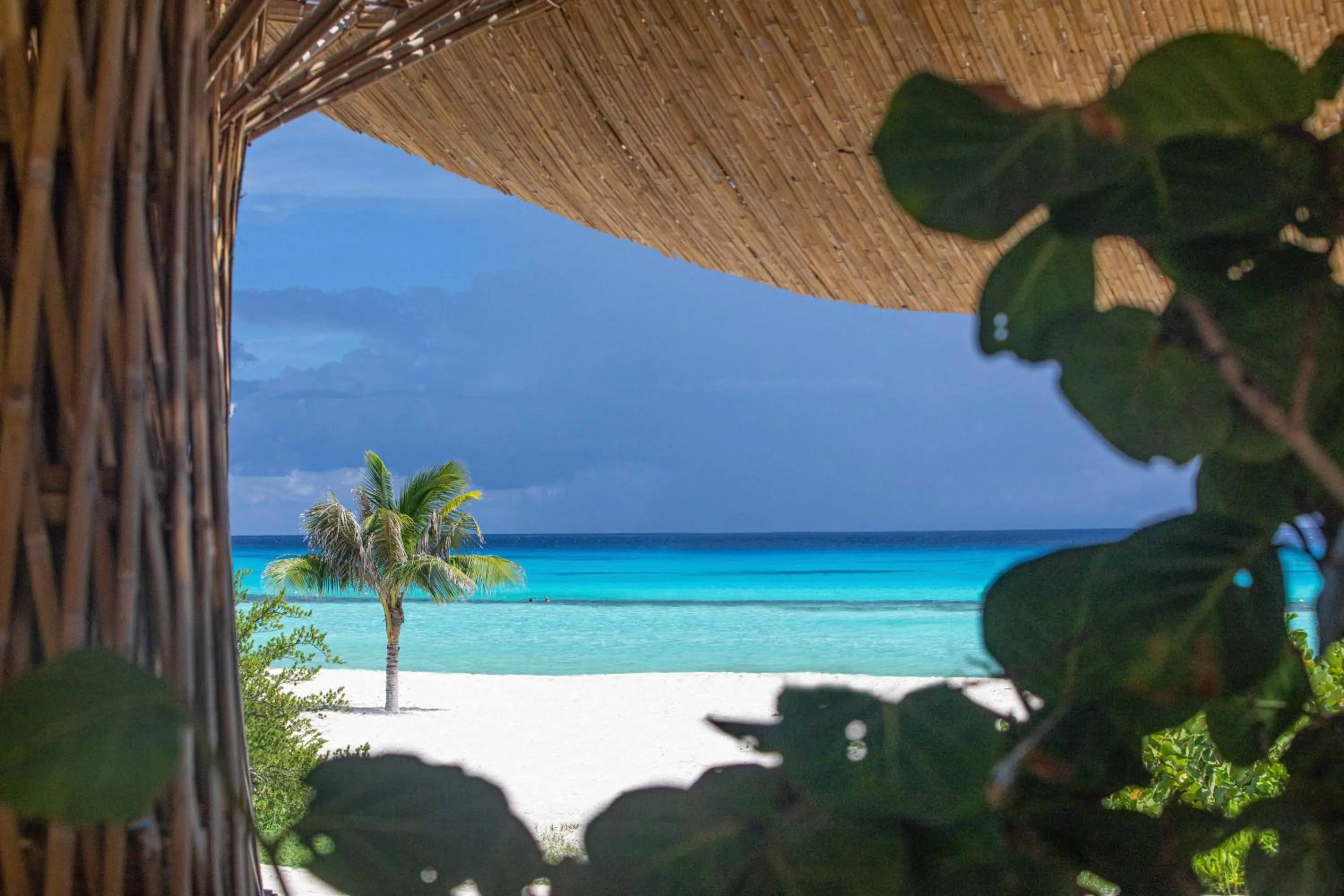 Beach in Palmaïa The House of AïA All Inclusive Wellness Resort