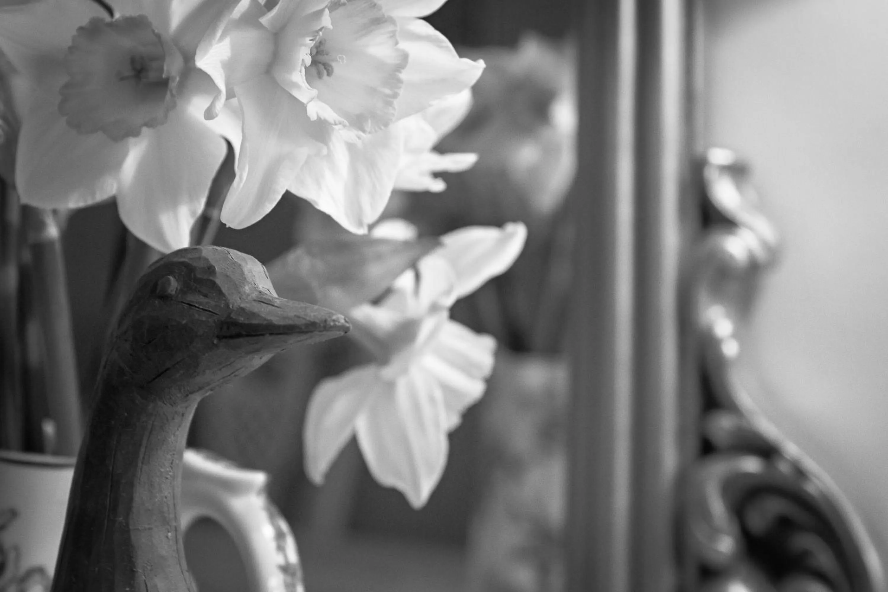 Other in Puddle Duck Lodge – Adults Only