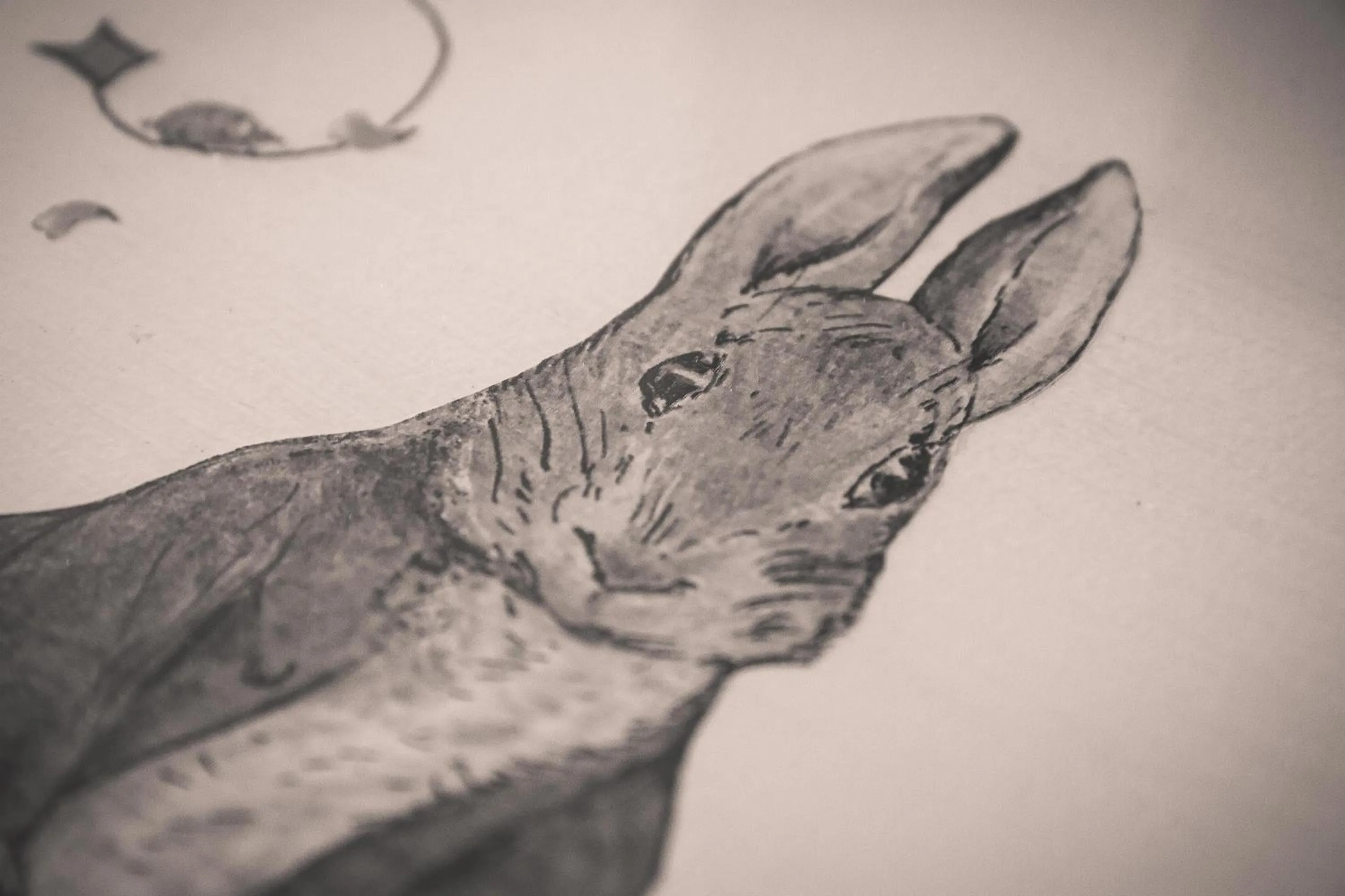 Other in Puddle Duck Lodge – Adults Only