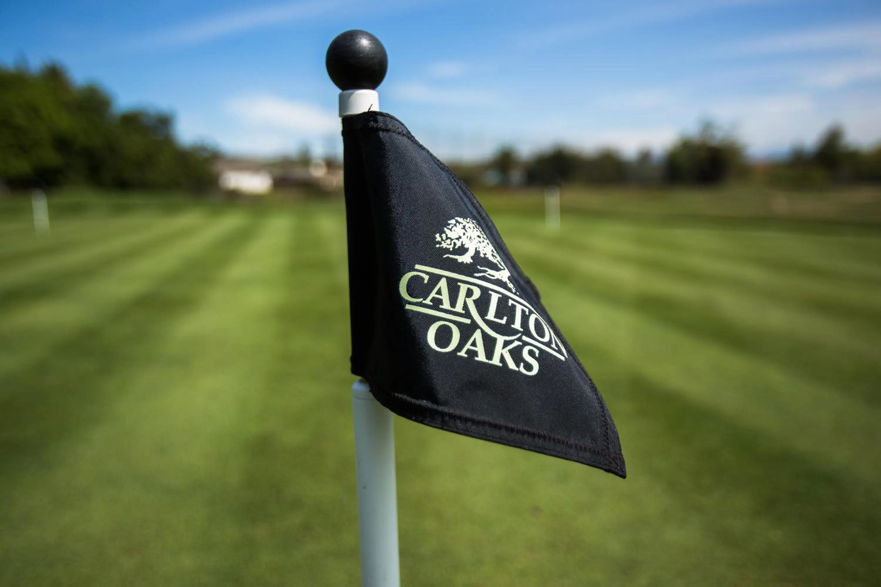 Day in Carlton Oaks Lodge, an Ascend Collection Hotel