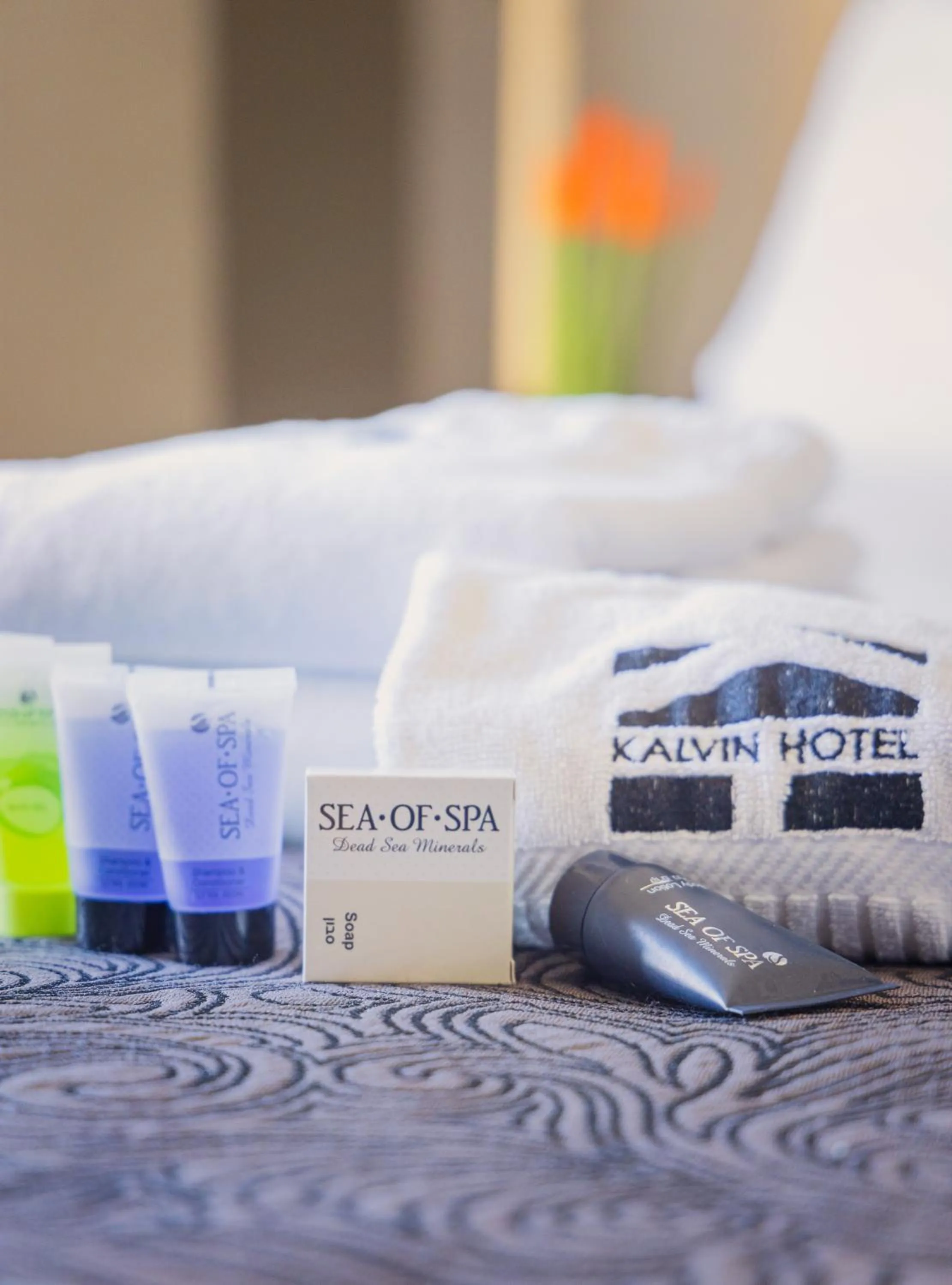 Logo/Certificate/Sign in Kalvin Boutique Hotel by Levinsky Market Tel-Aviv