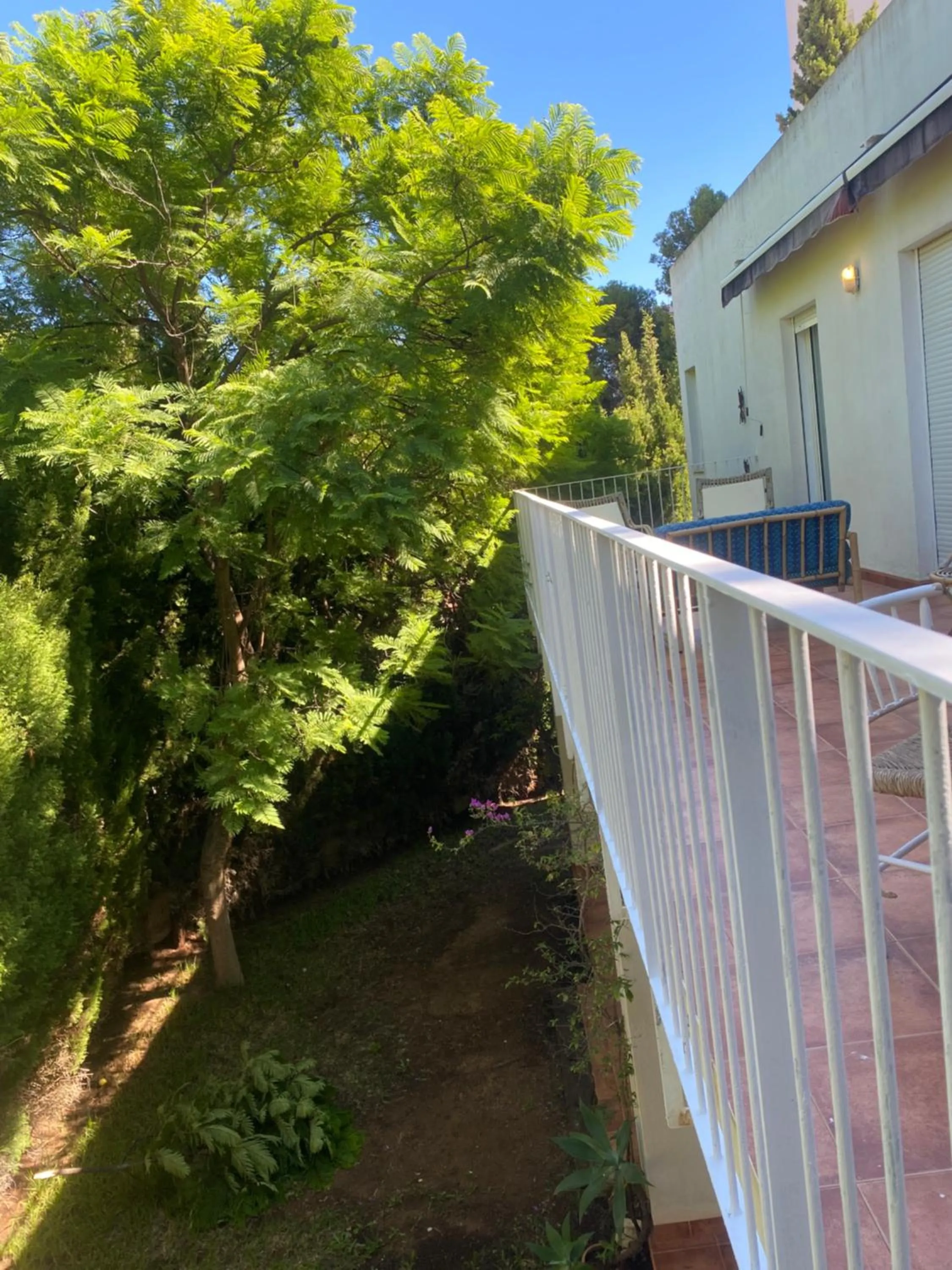 Garden in Travel Habitat Benicassim