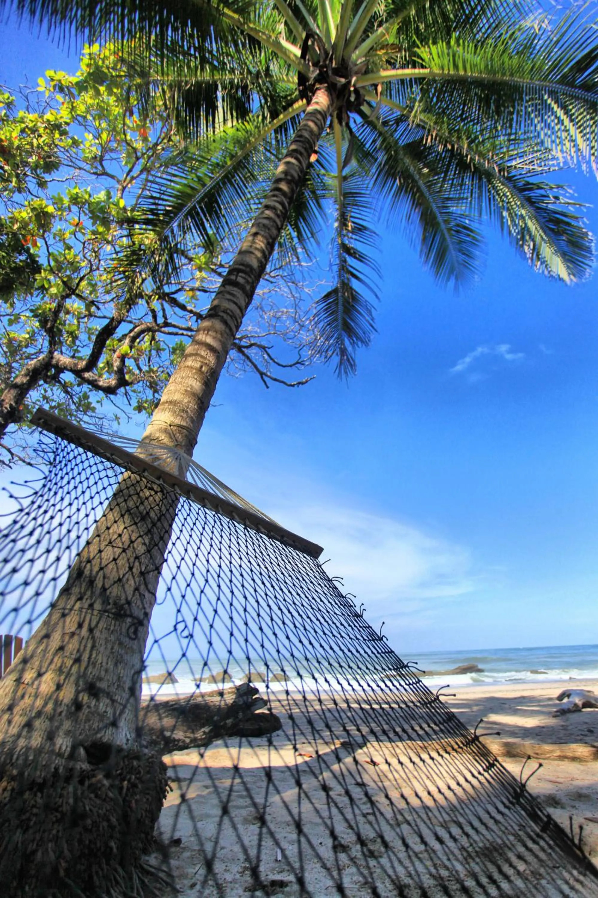 Other in Hotel Tropico Latino