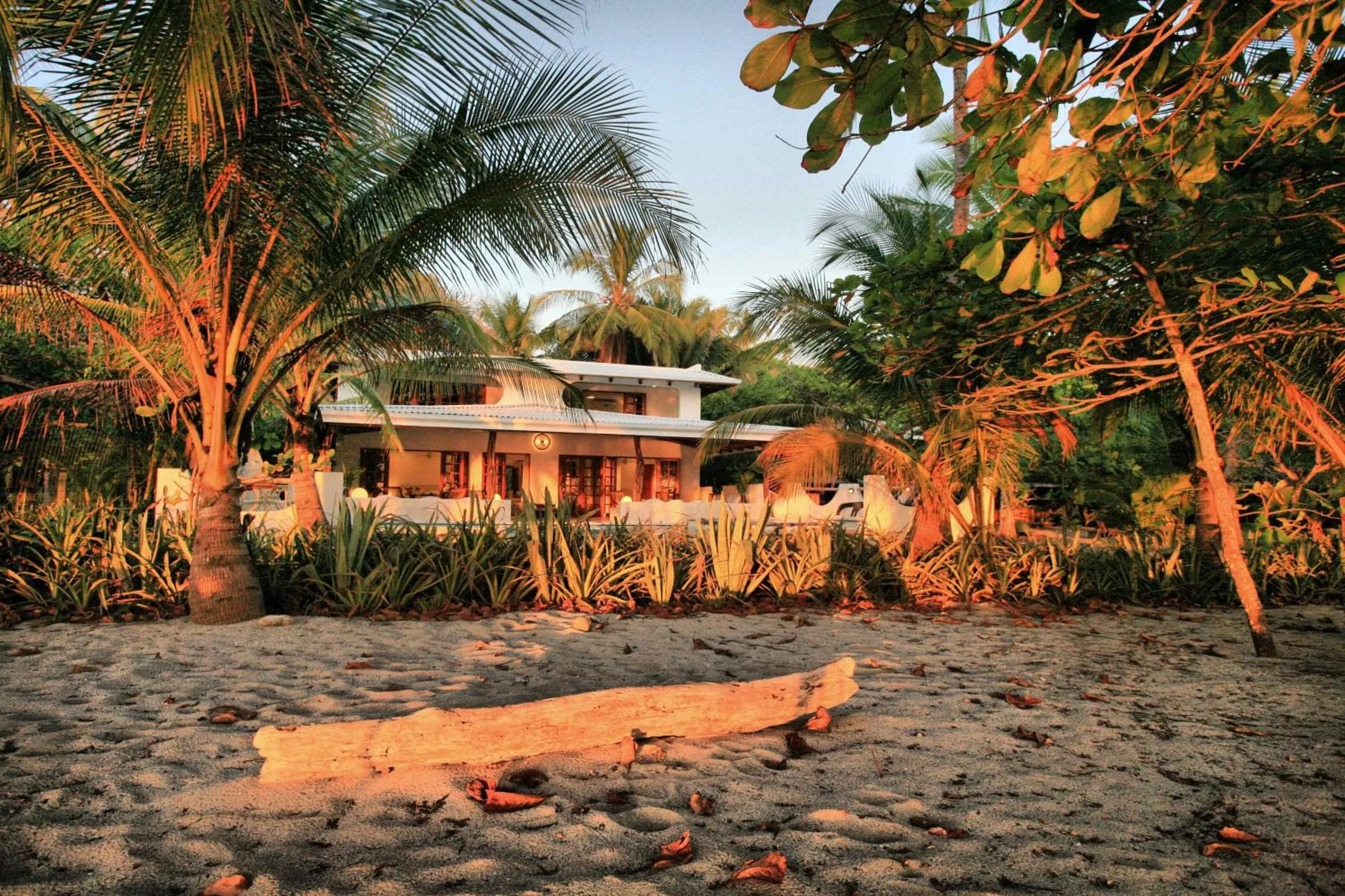 Property building in Hotel Tropico Latino