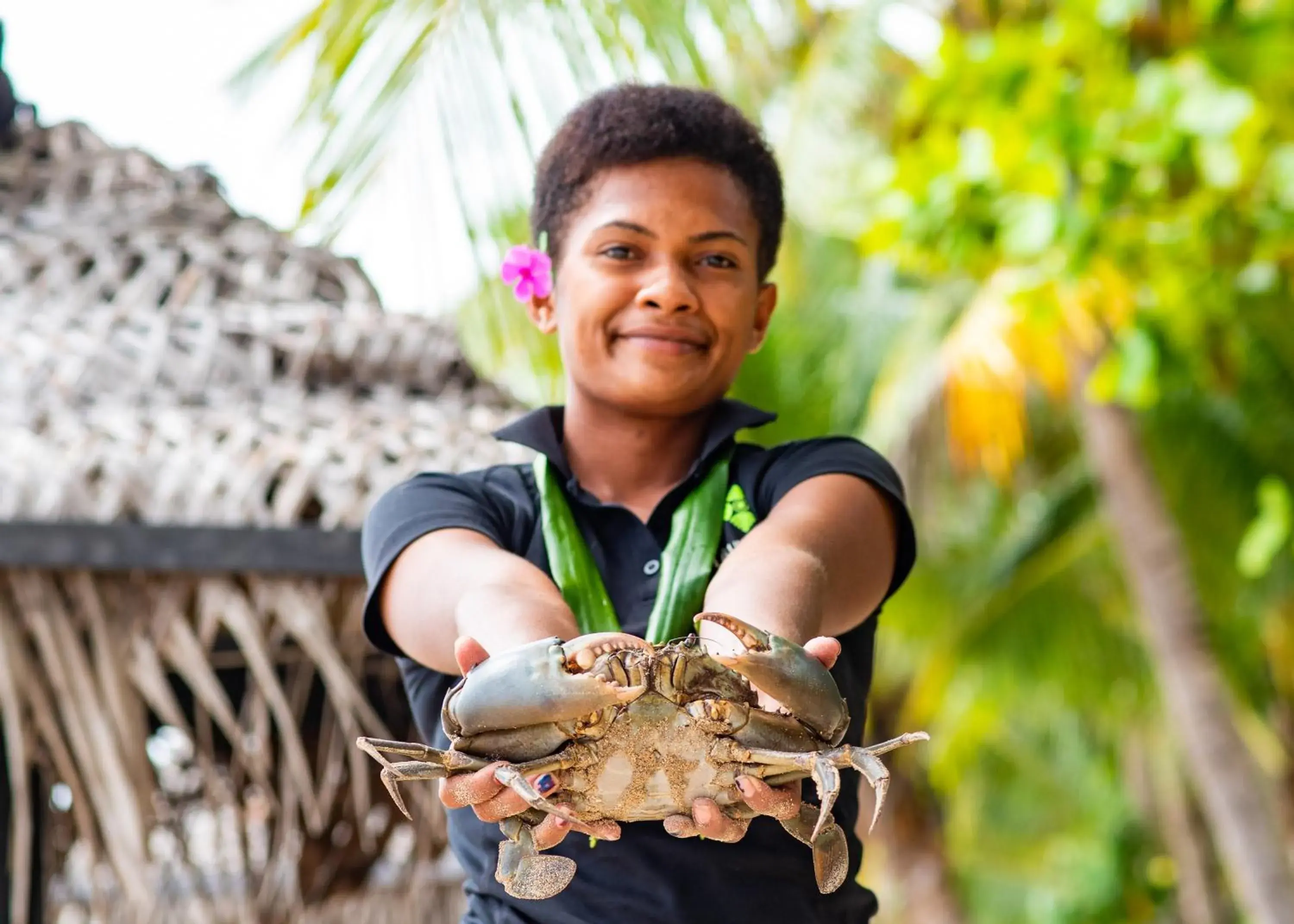 Likuri Island Resort Fiji Likuri Island Resort Fiji