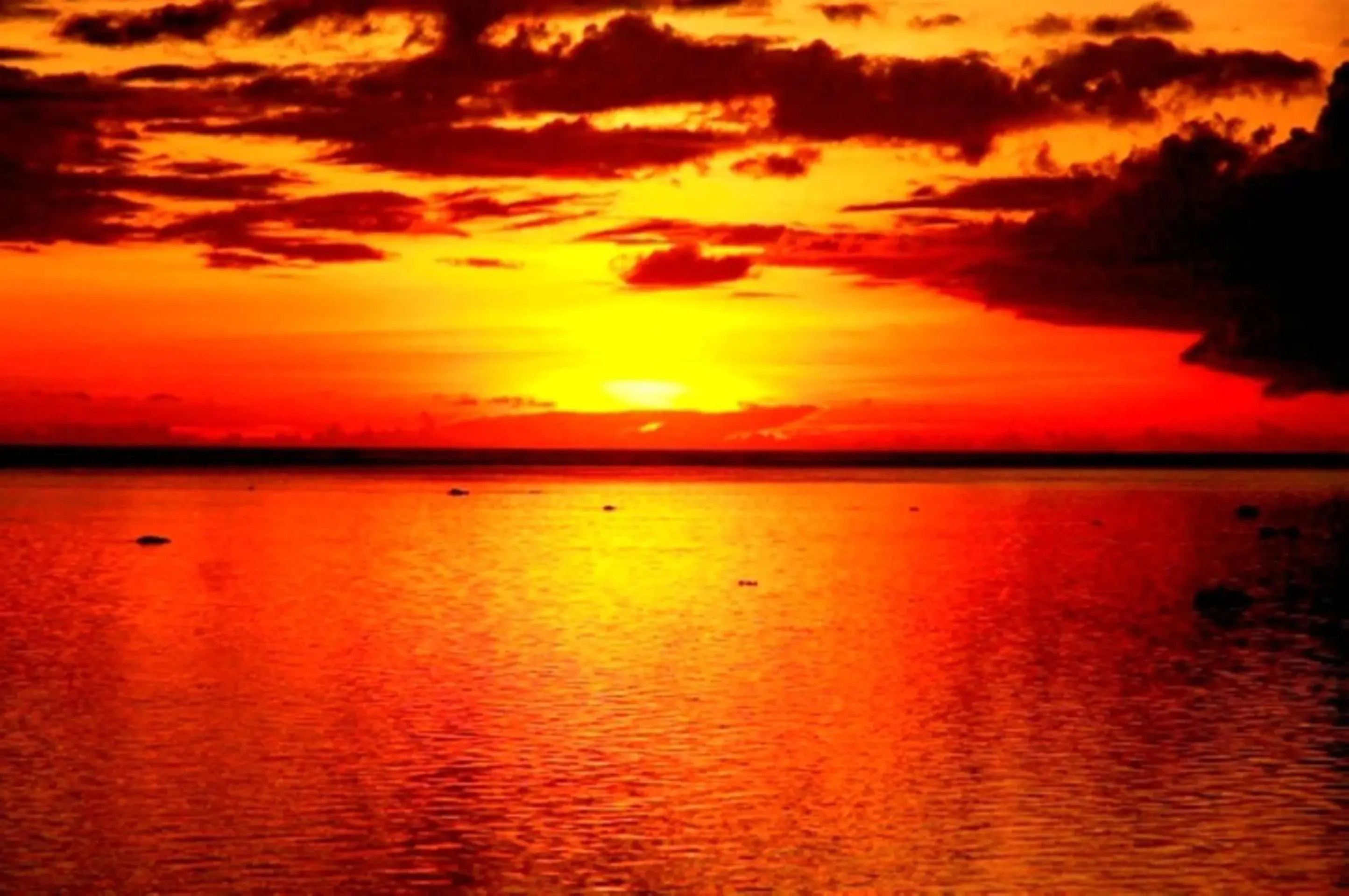 Ocean View Bungalow in Tambua Sands Beach Resort Ocean View Bungalow in Tambua Sands Beach Resort