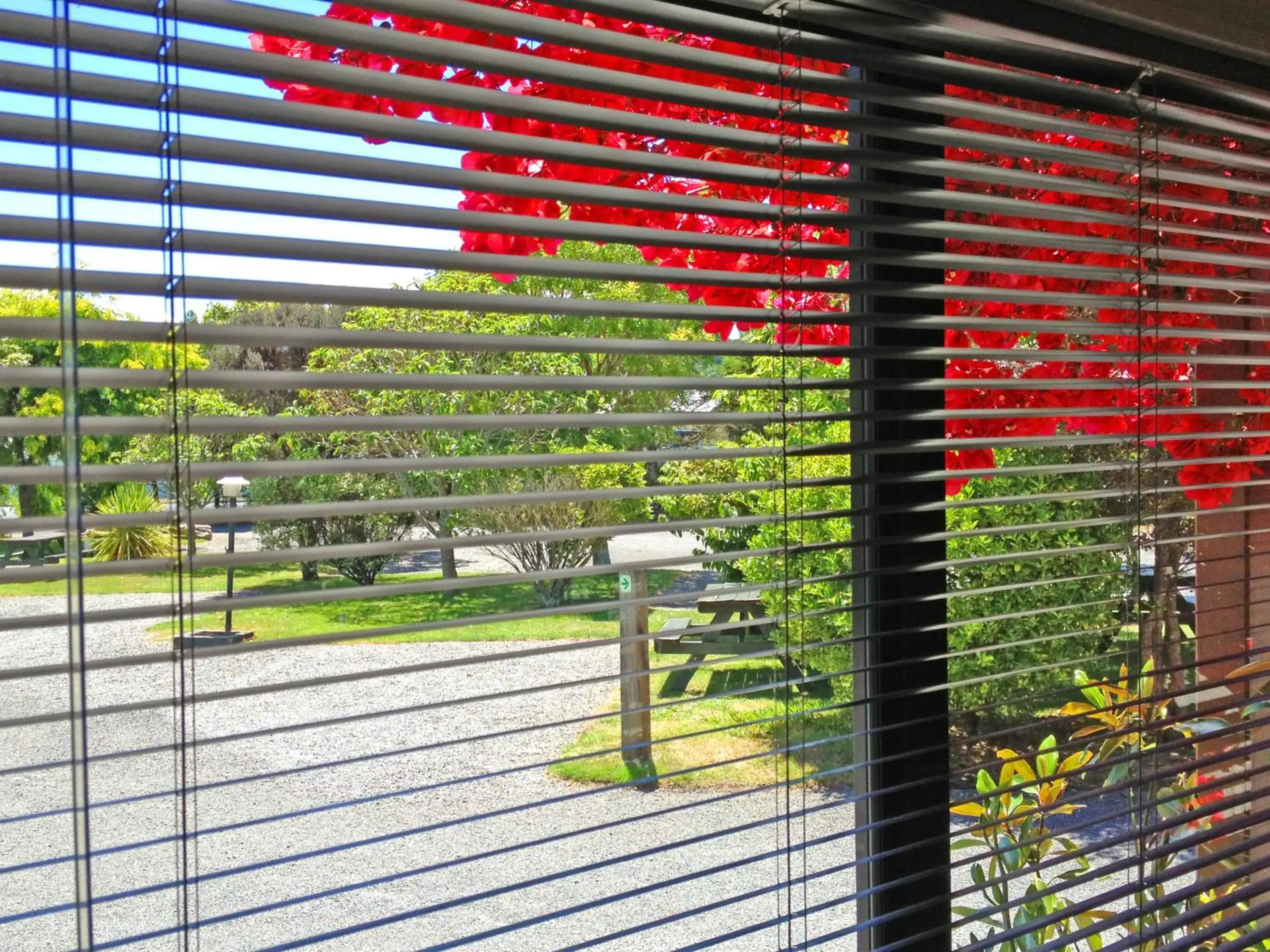 View (from property/room) in Picton Campervan Park View (from property/room) in Picton Campervan Park