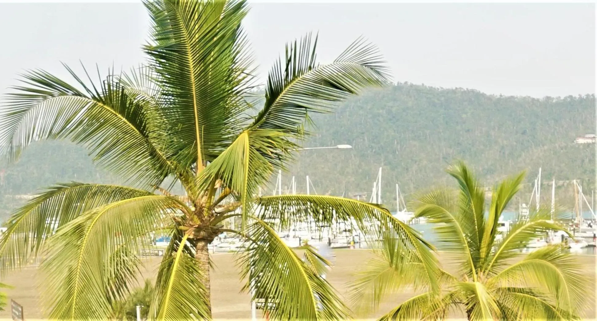 View (from property/room) in Airlie Seaview Apartments