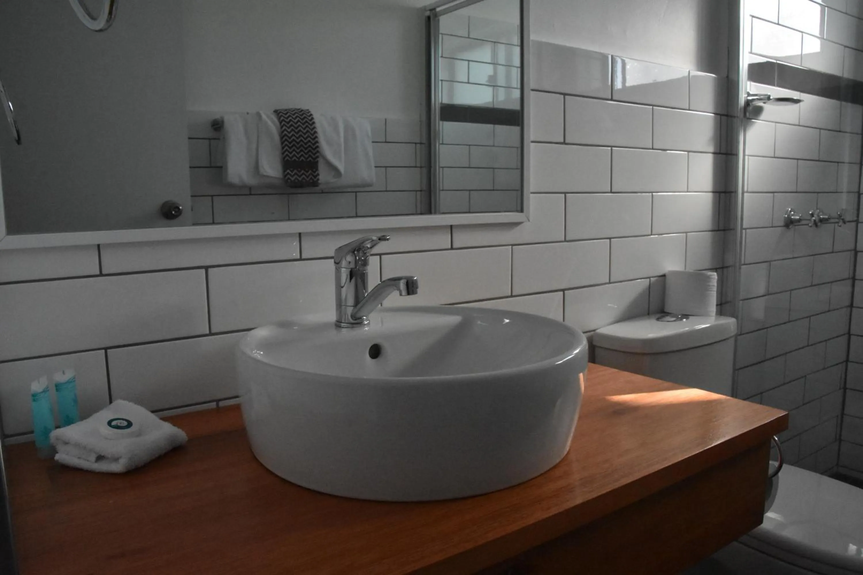 Bathroom in Ballina Homestead Motel