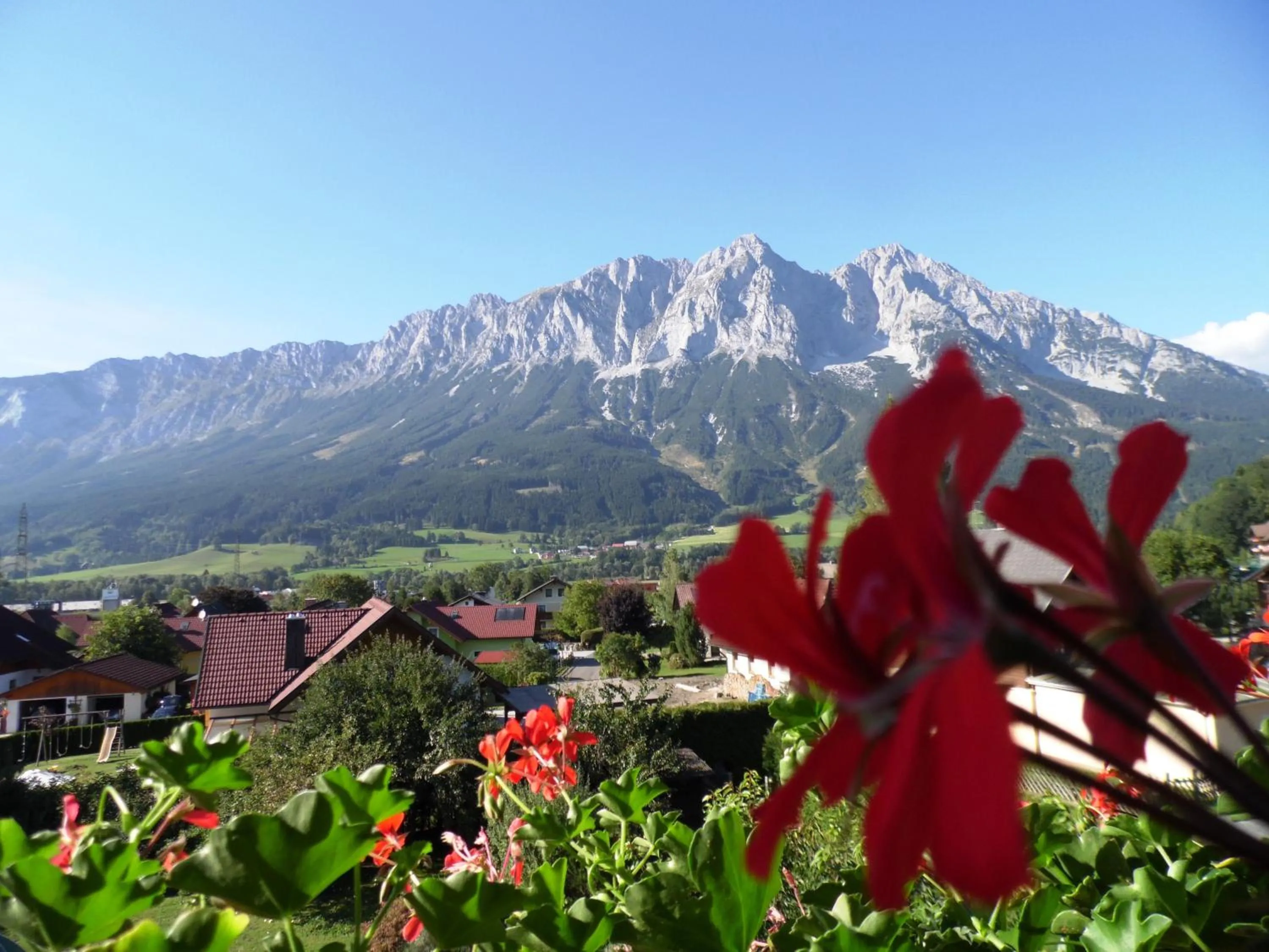 View (from property/room) in Pension Tilly