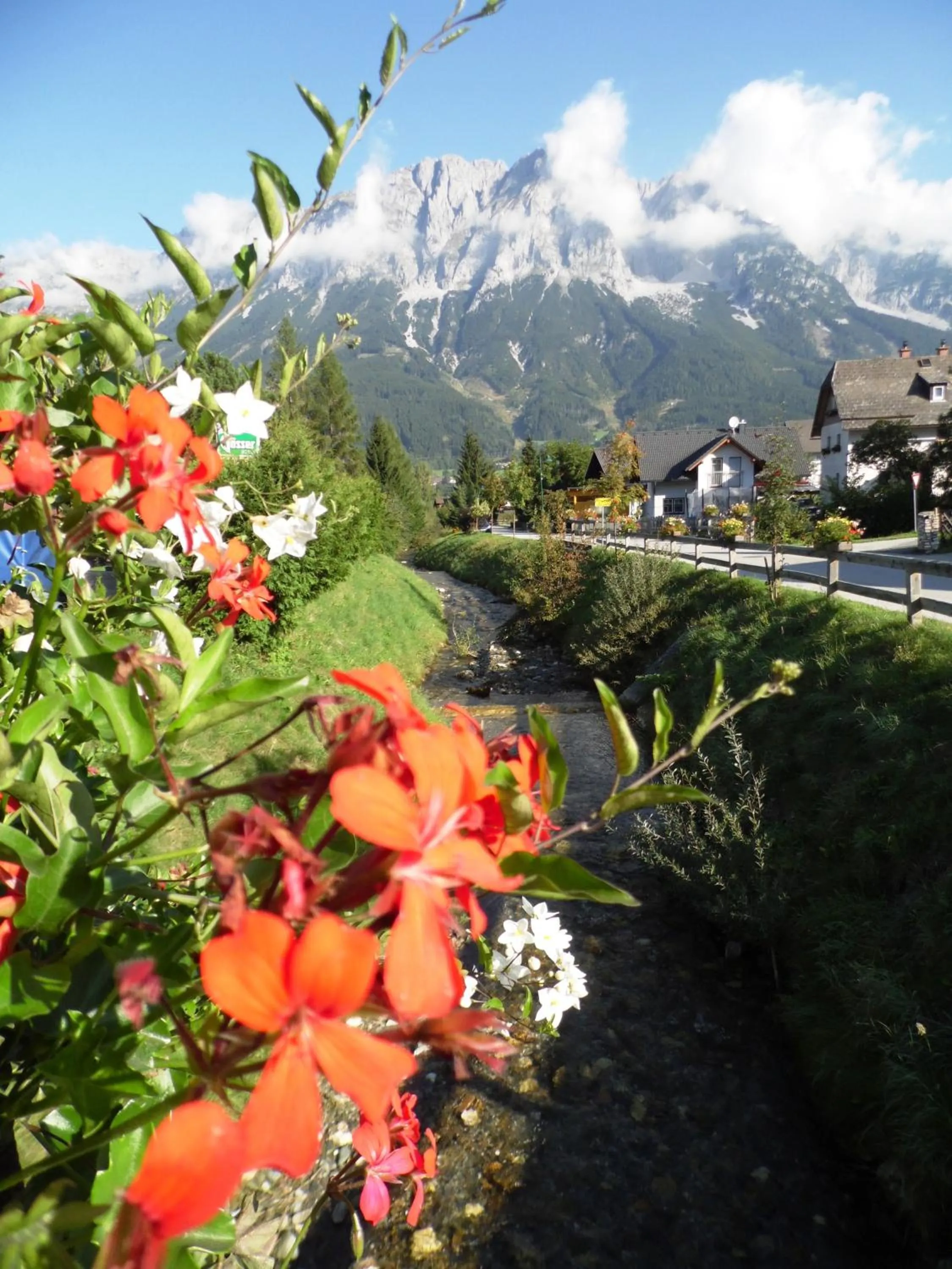 View (from property/room) in Pension Tilly