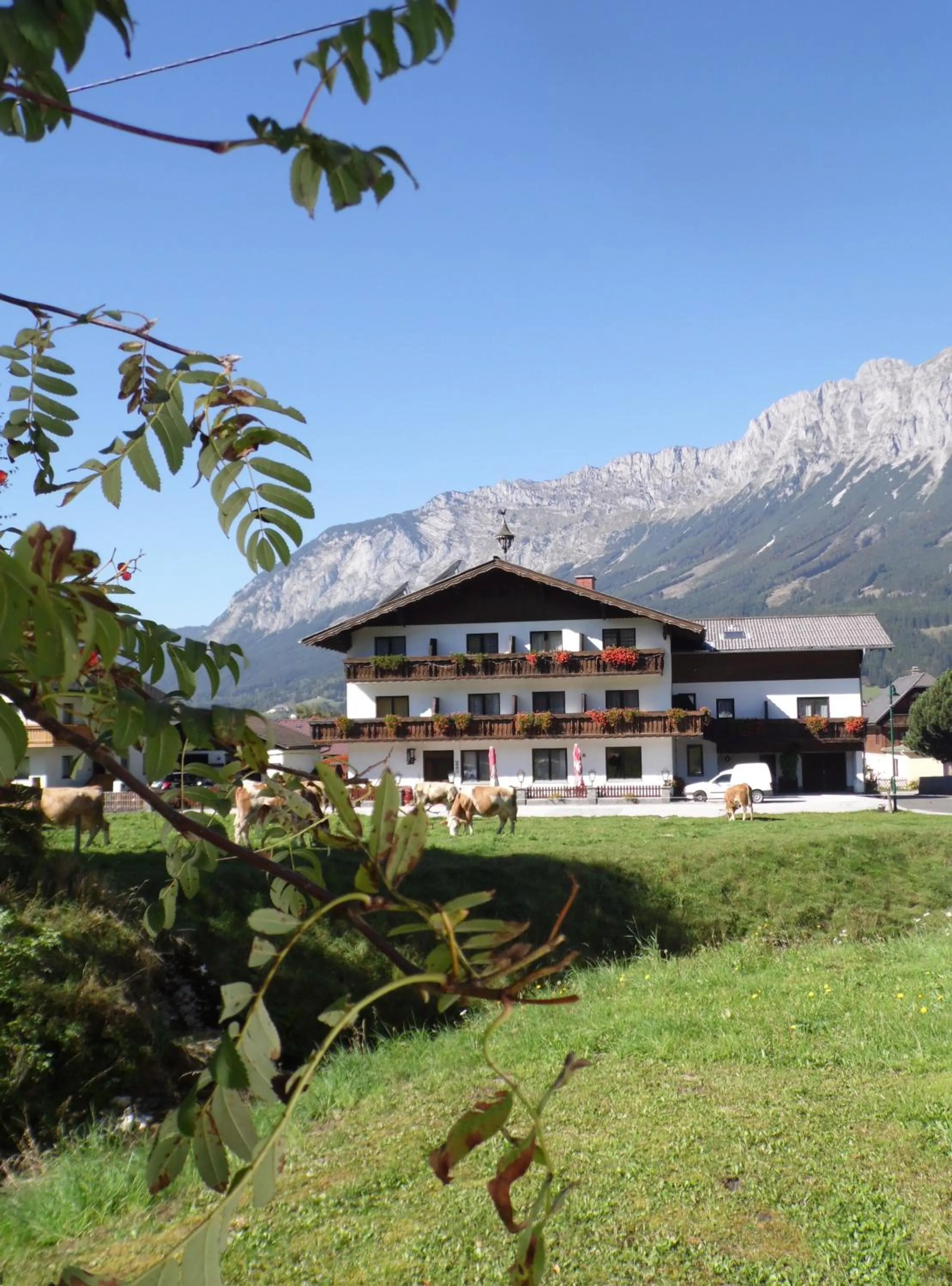 Facade/entrance in Pension Tilly