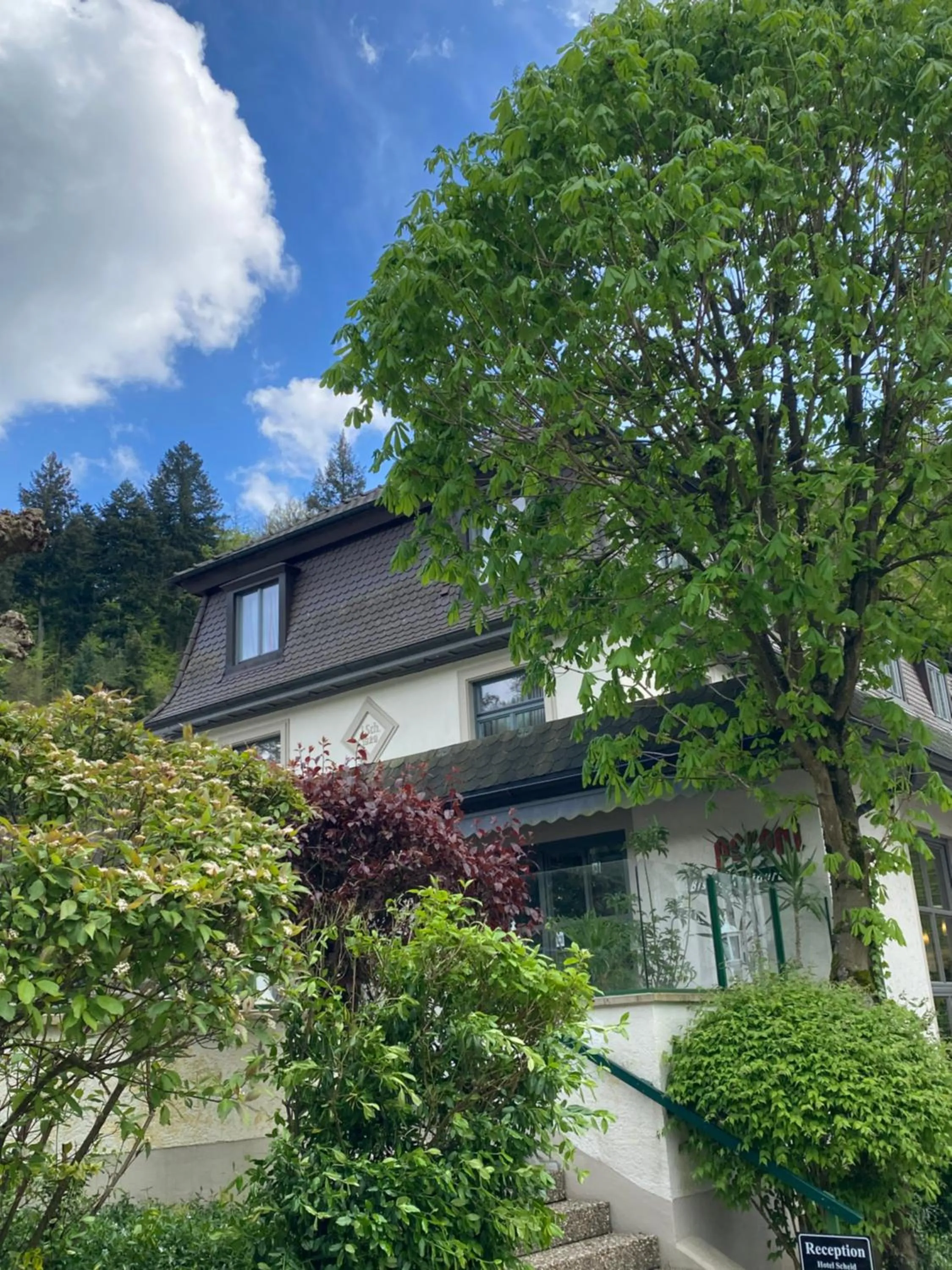 Property building in Hotel Scheid