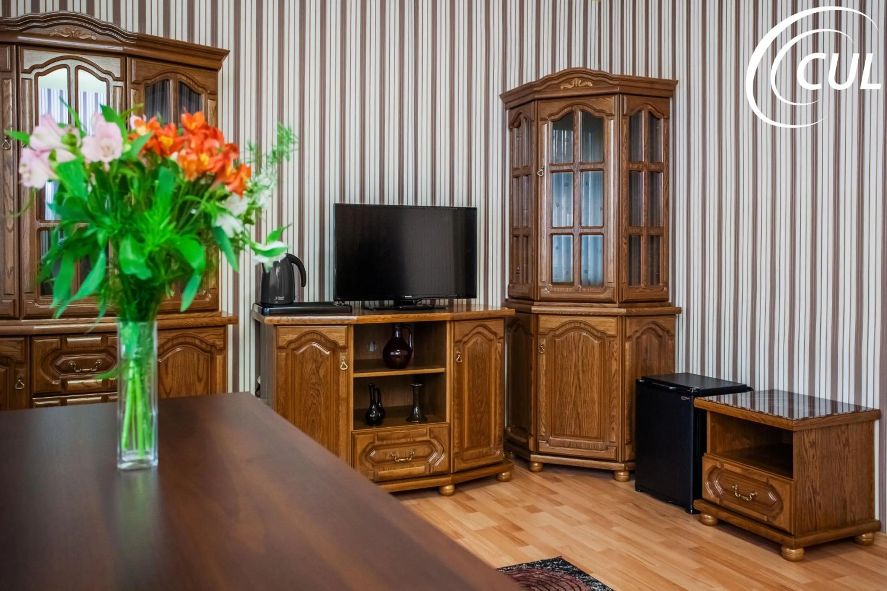 Living room in Dafne Zakopane