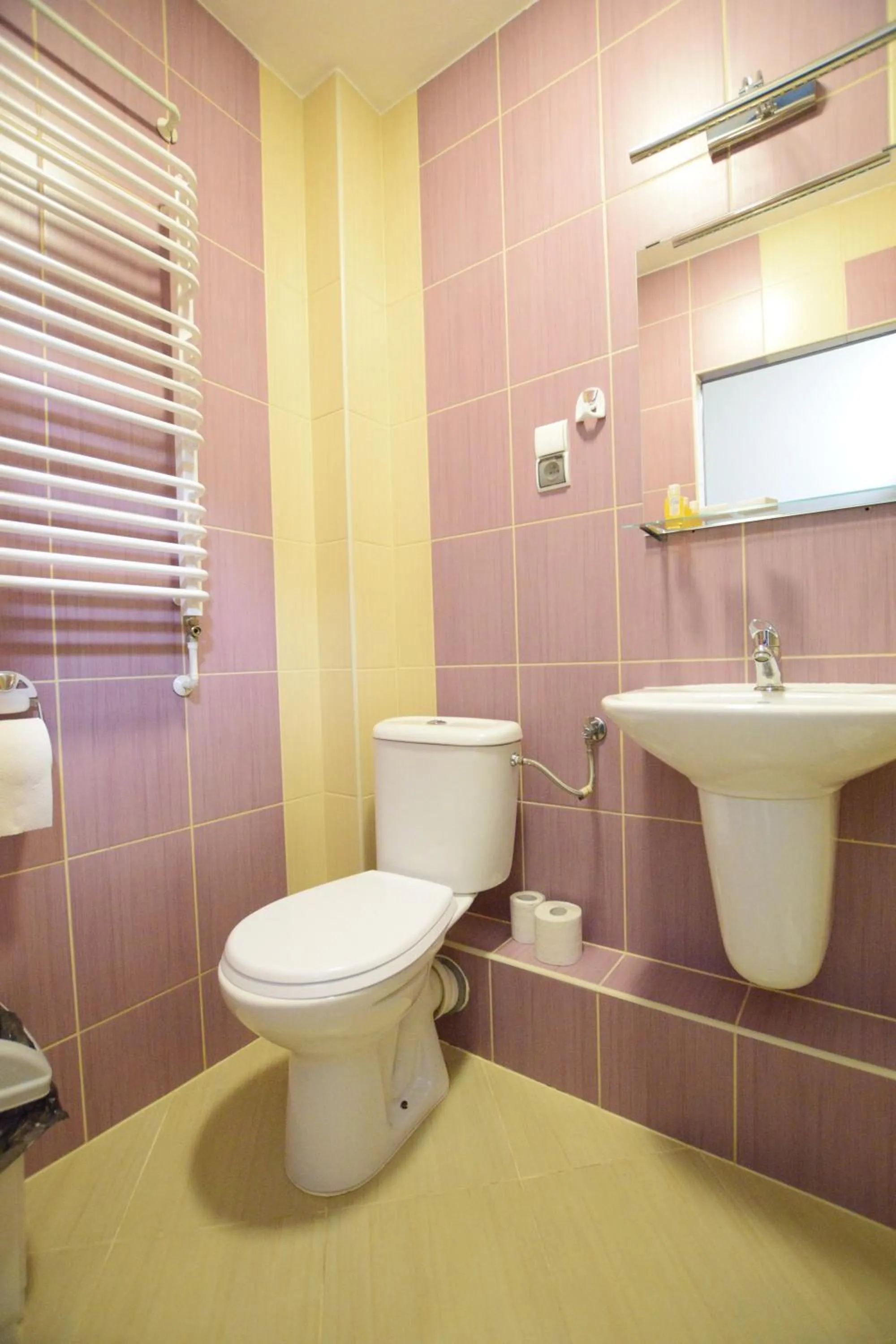 Toilet in Dafne Zakopane