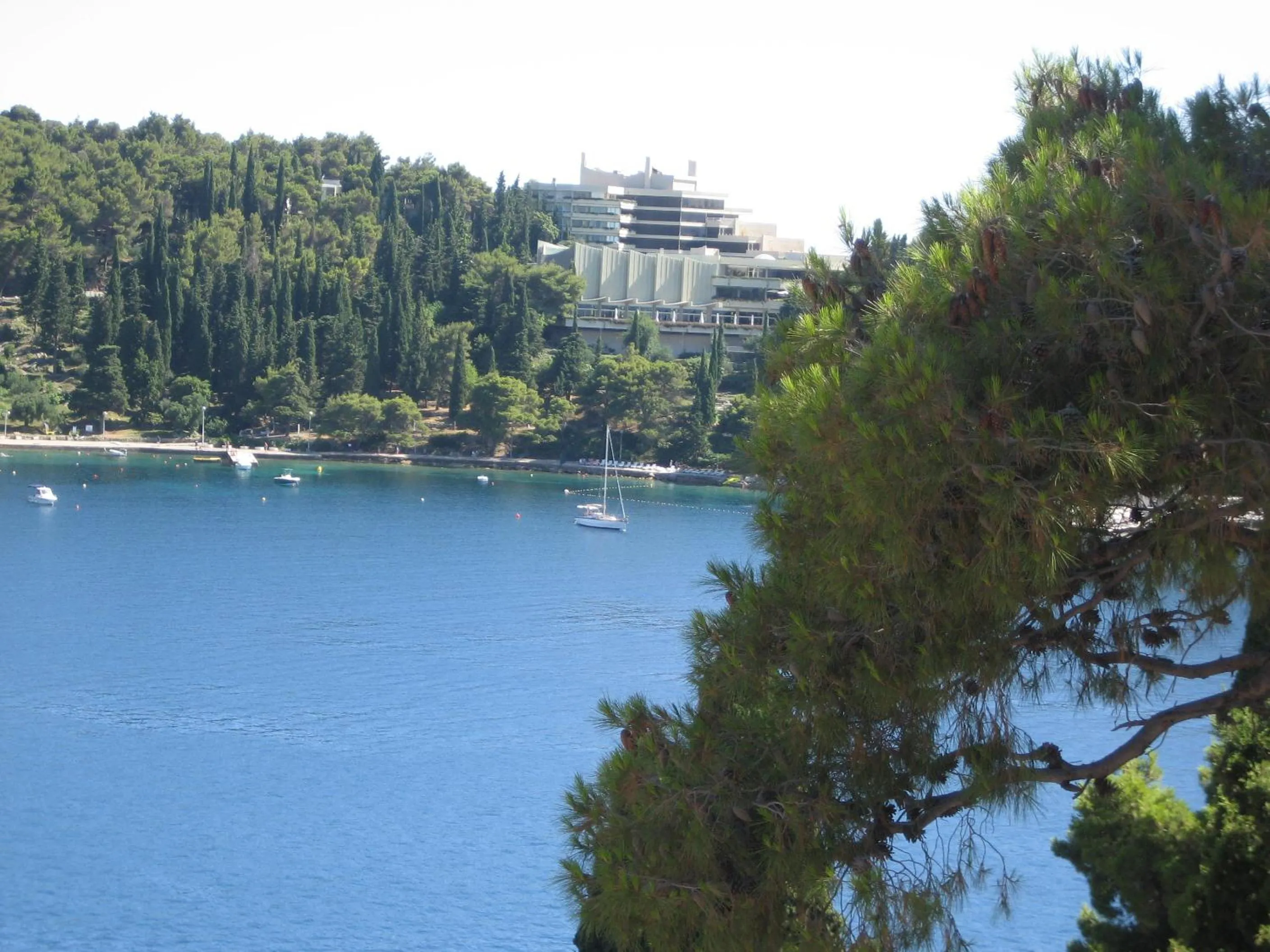Area and facilities in Villa Rozic
