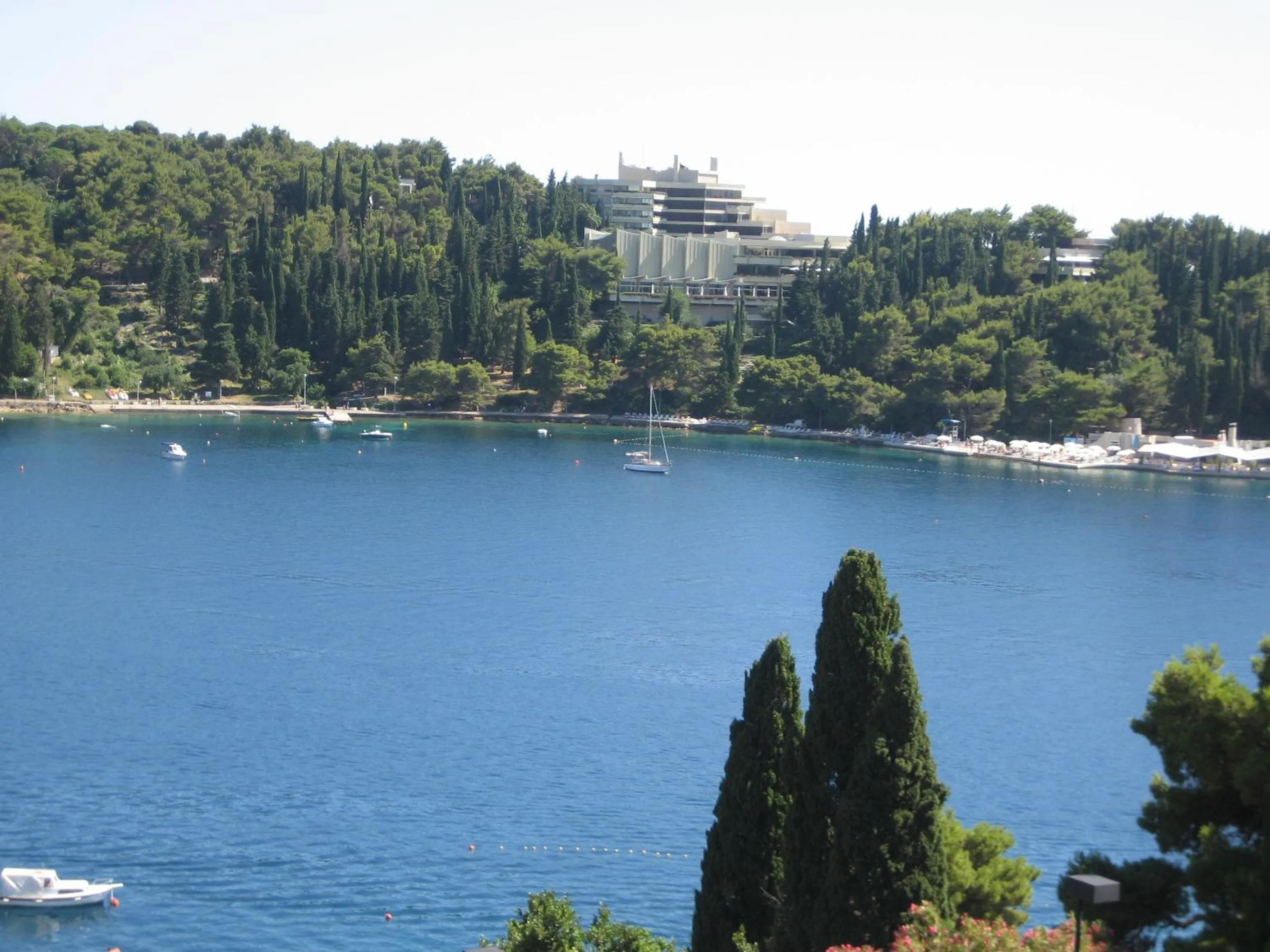 Area and facilities in Villa Rozic