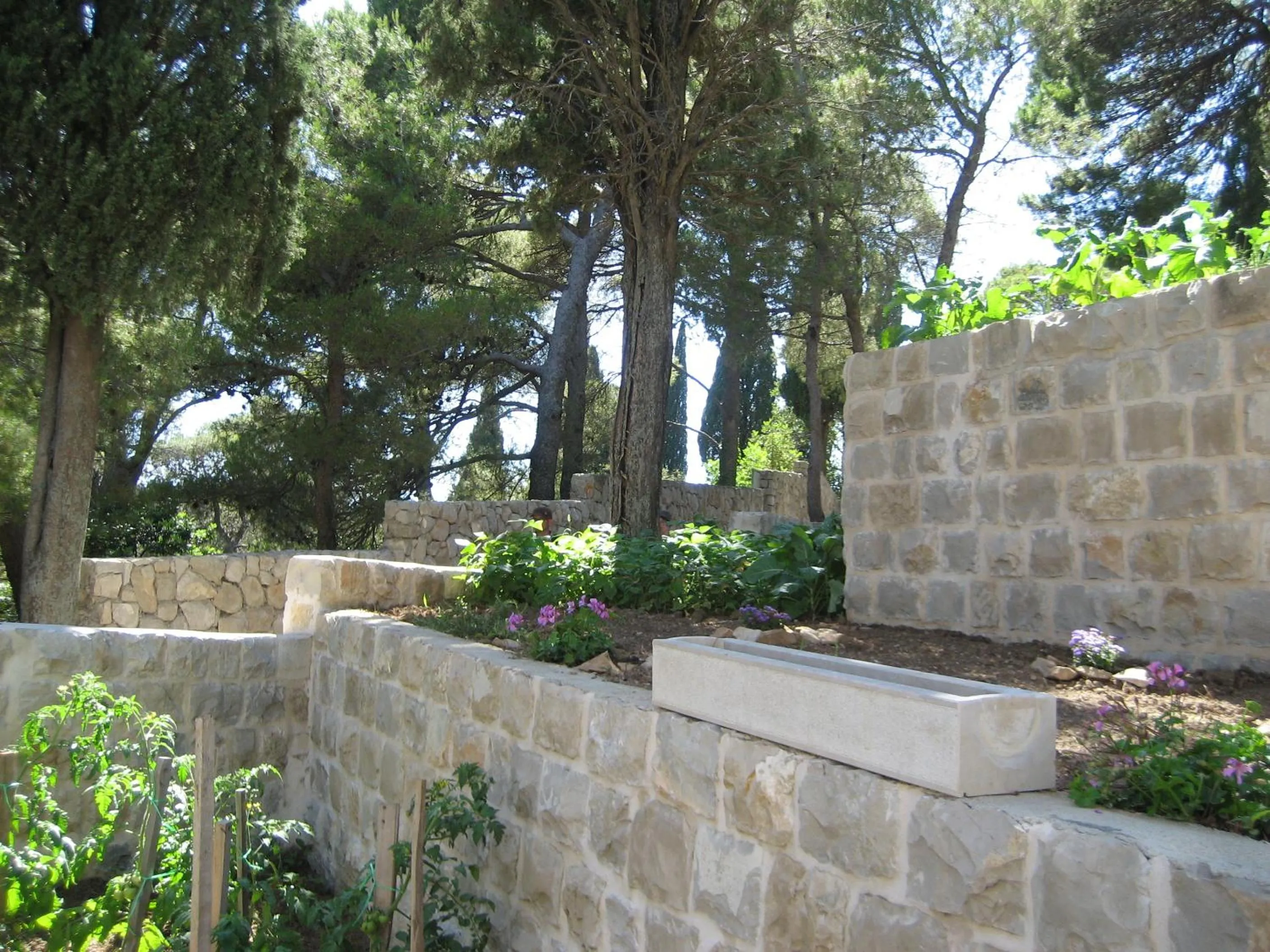 Area and facilities in Villa Rozic