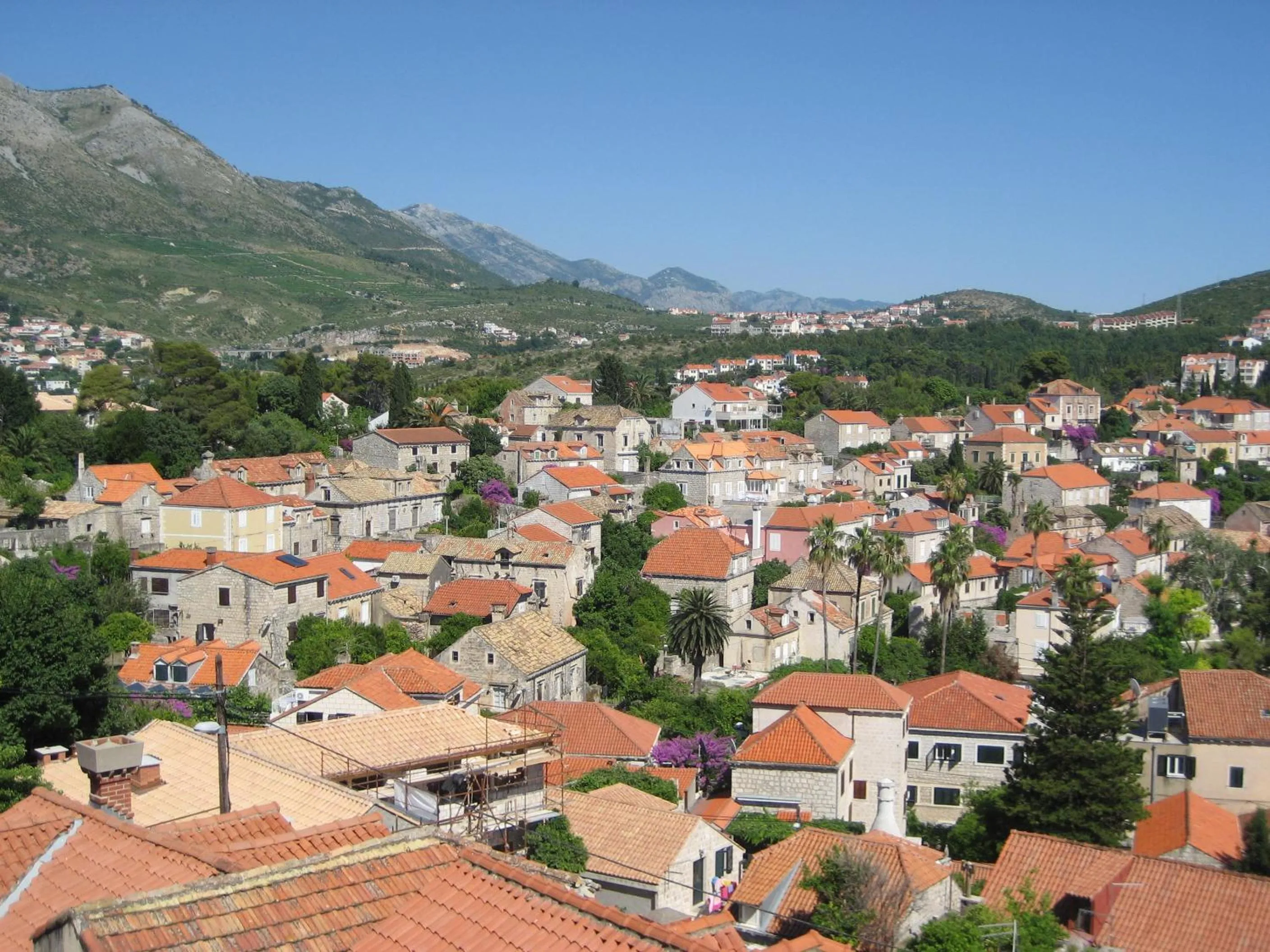 Area and facilities in Villa Rozic