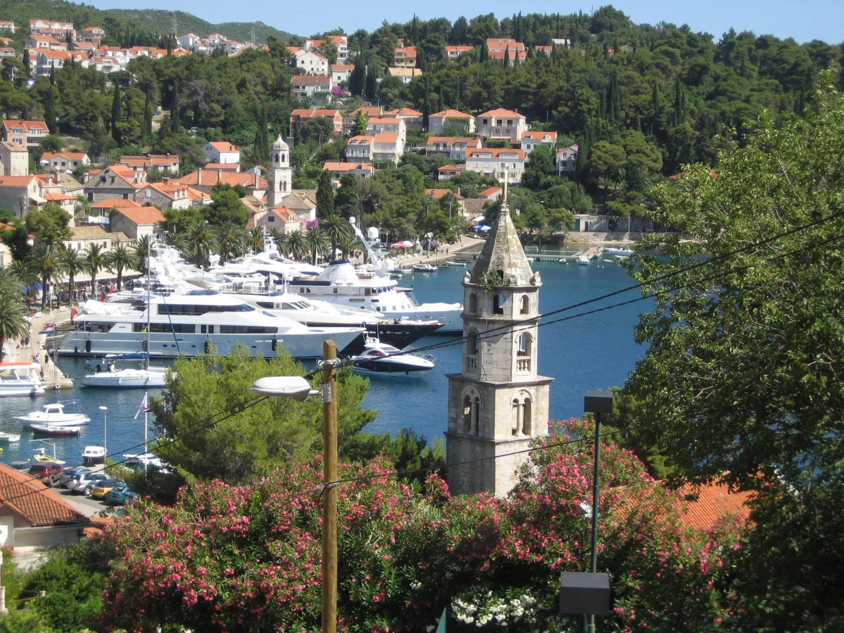 Area and facilities in Villa Rozic