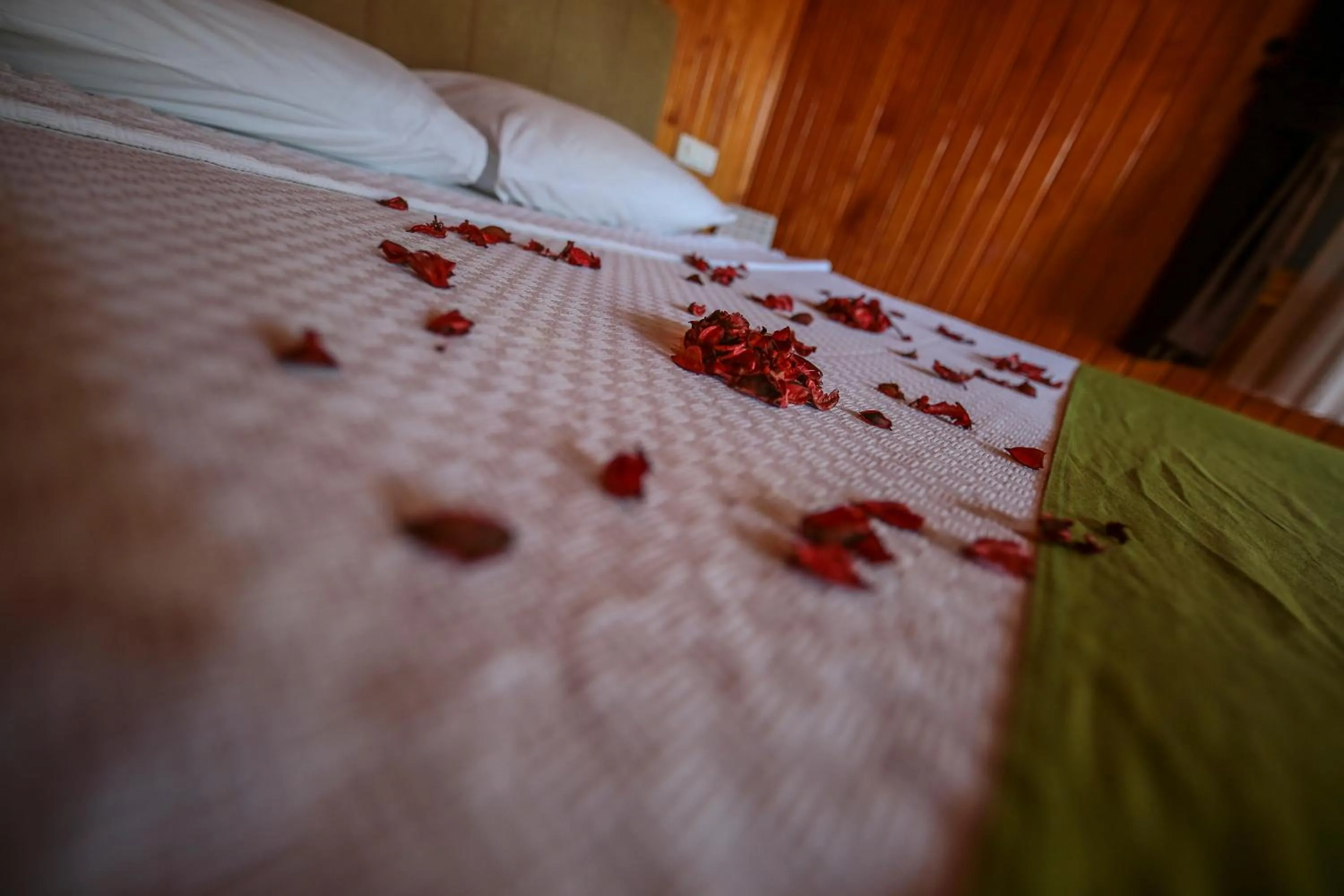 Bed in Cirali Zakkum Bungalow