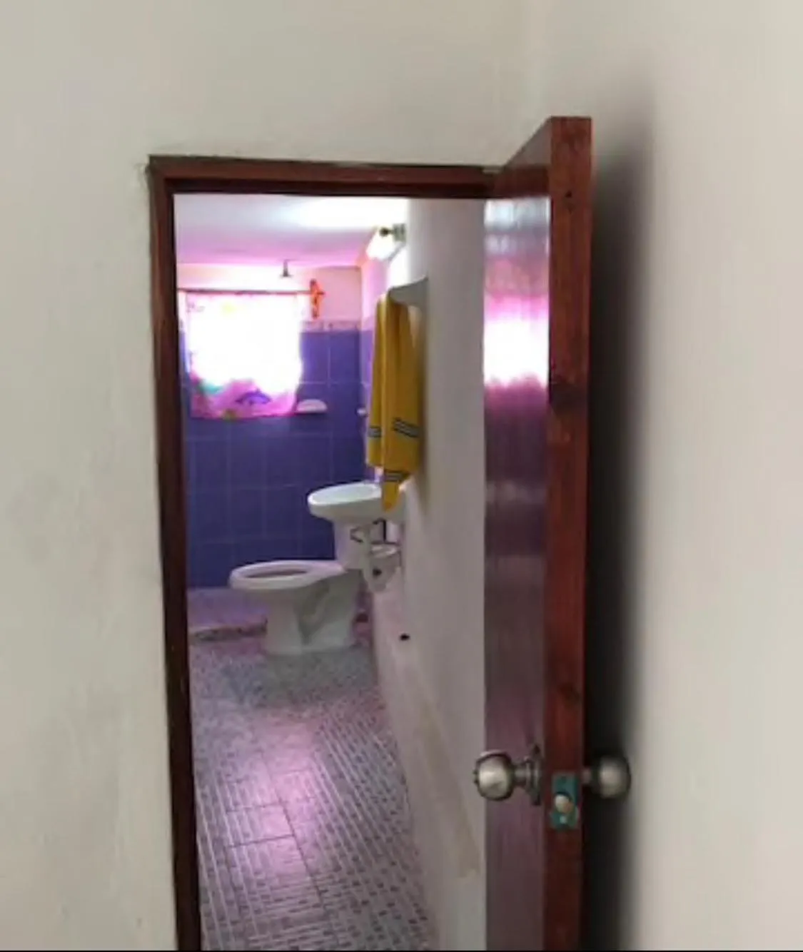 Casa Colonial Centro