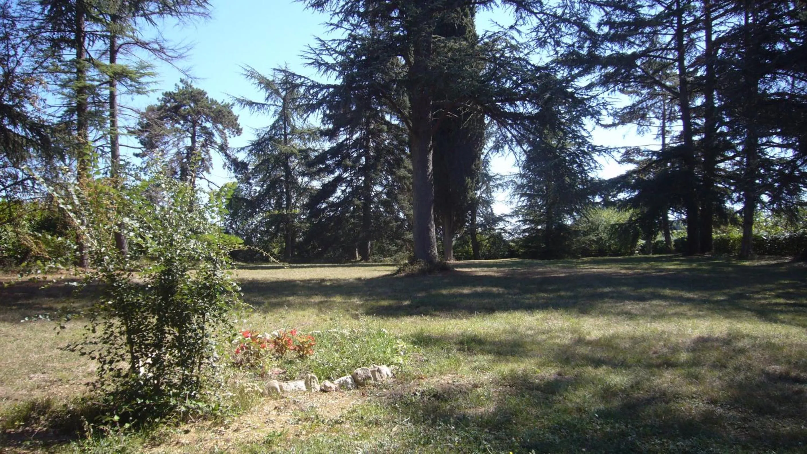 Natural landscape in Villa Marambat