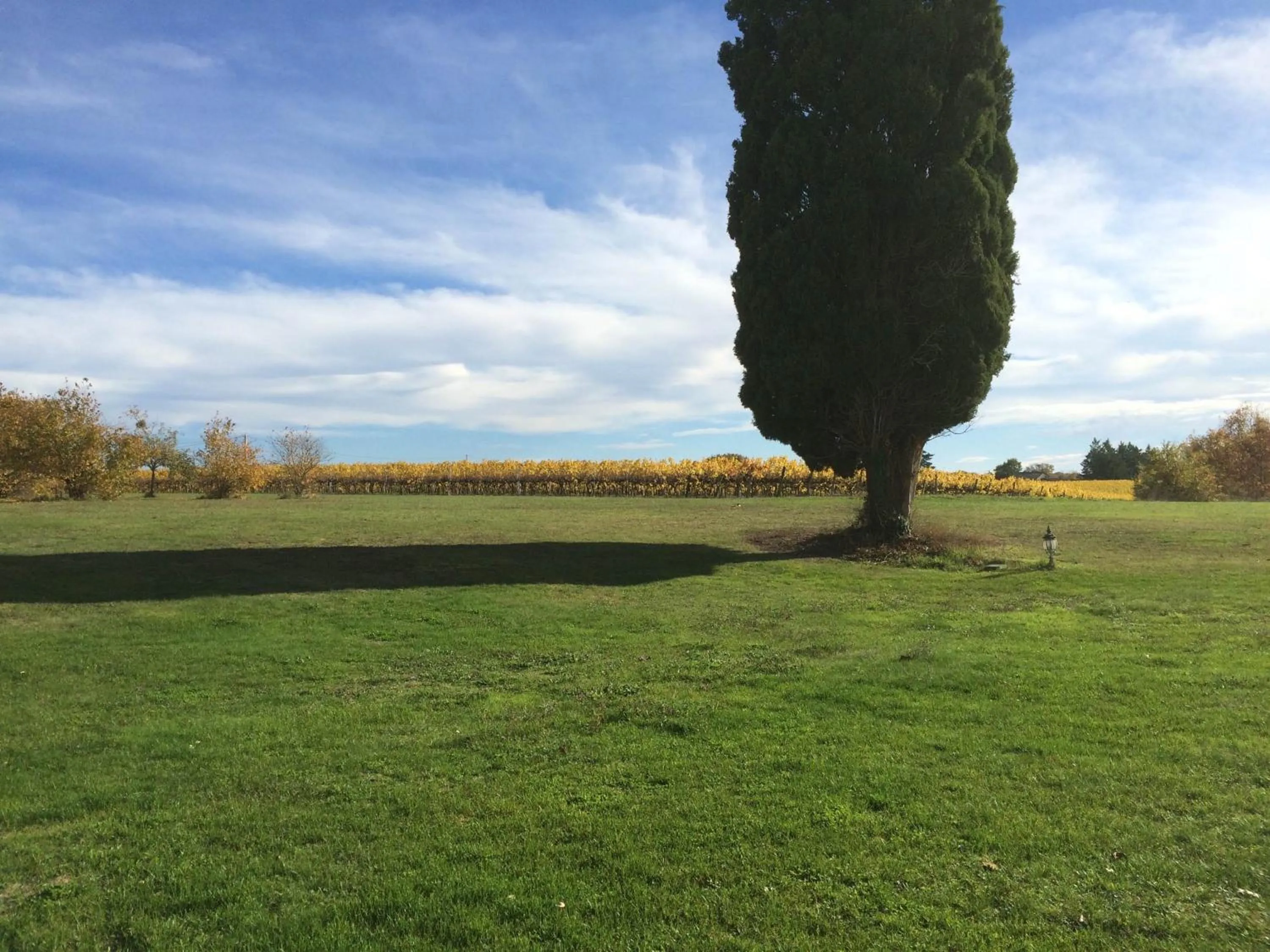 Natural landscape in Villa Marambat
