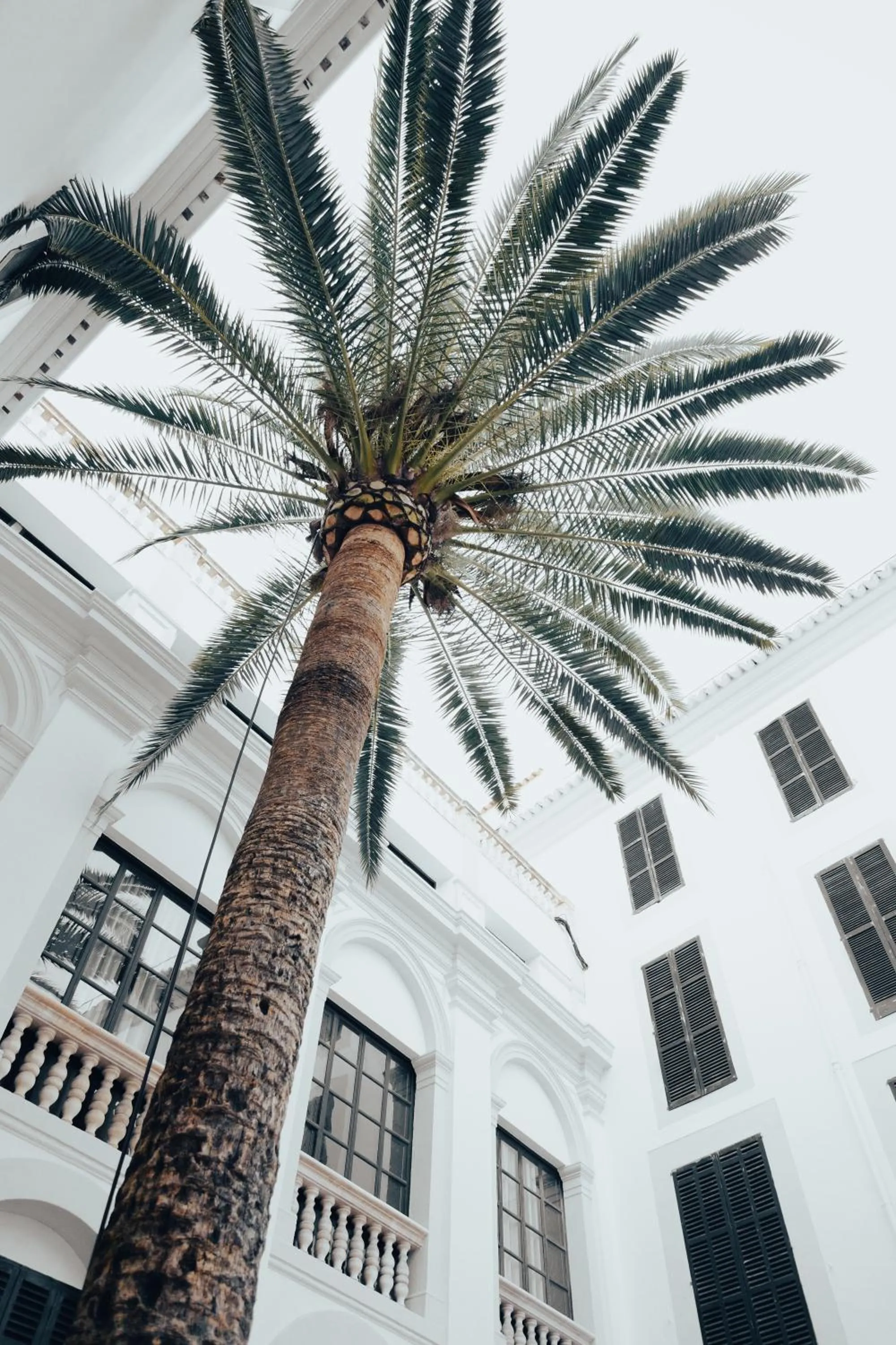 Property building in Hotel Born